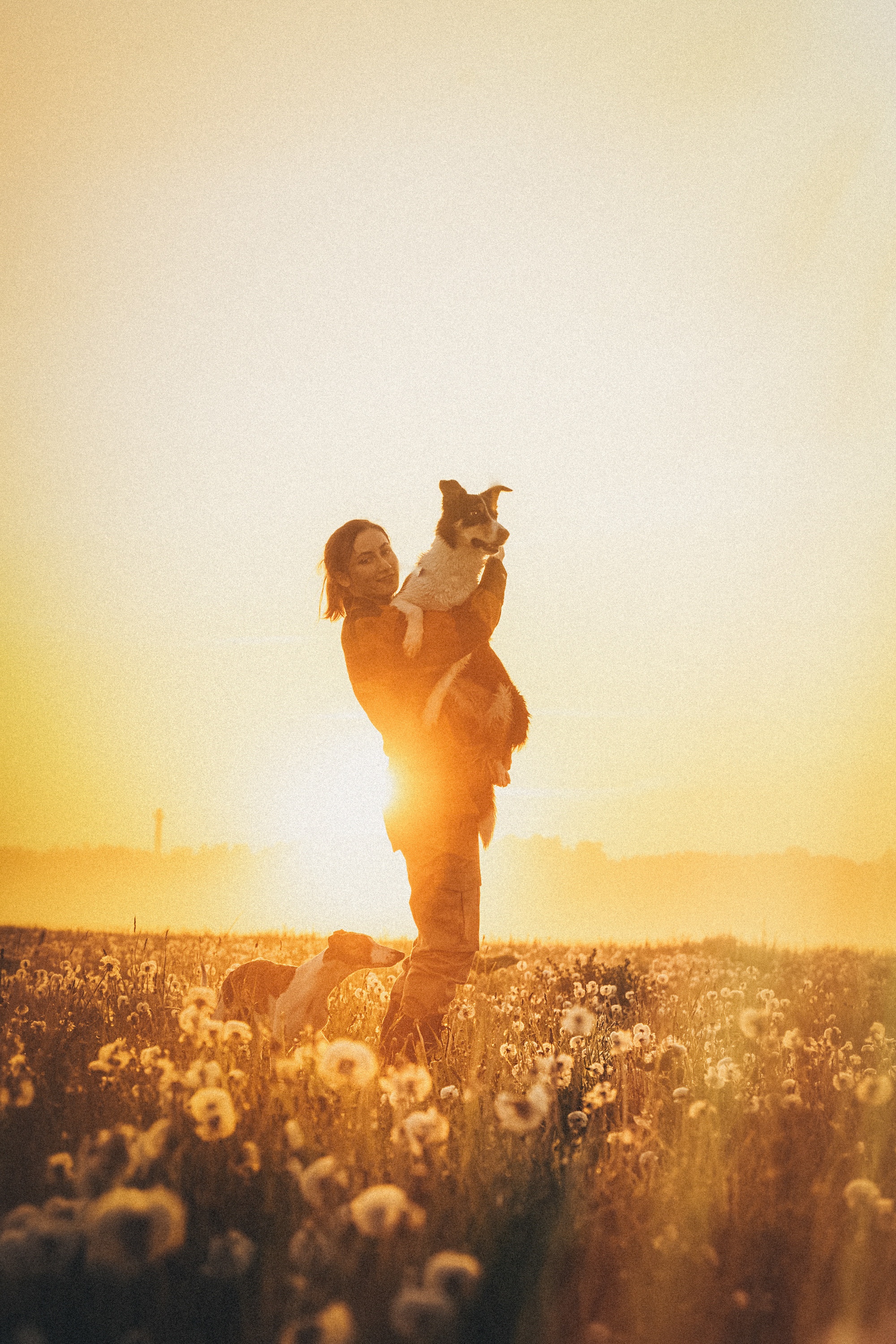 Софа, Уна и Лють. Фотограф анималист в Москве и Санкт-Петербурге Свиридова Анна
