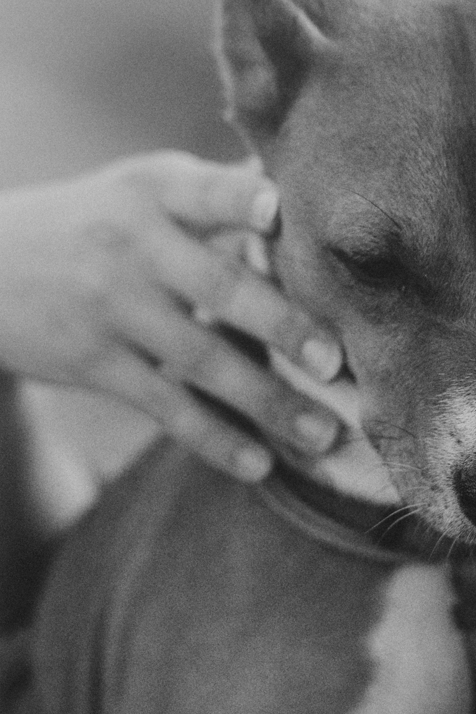 Арина и Рики. Фотограф анималист в Москве и Санкт-Петербурге Свиридова Анна