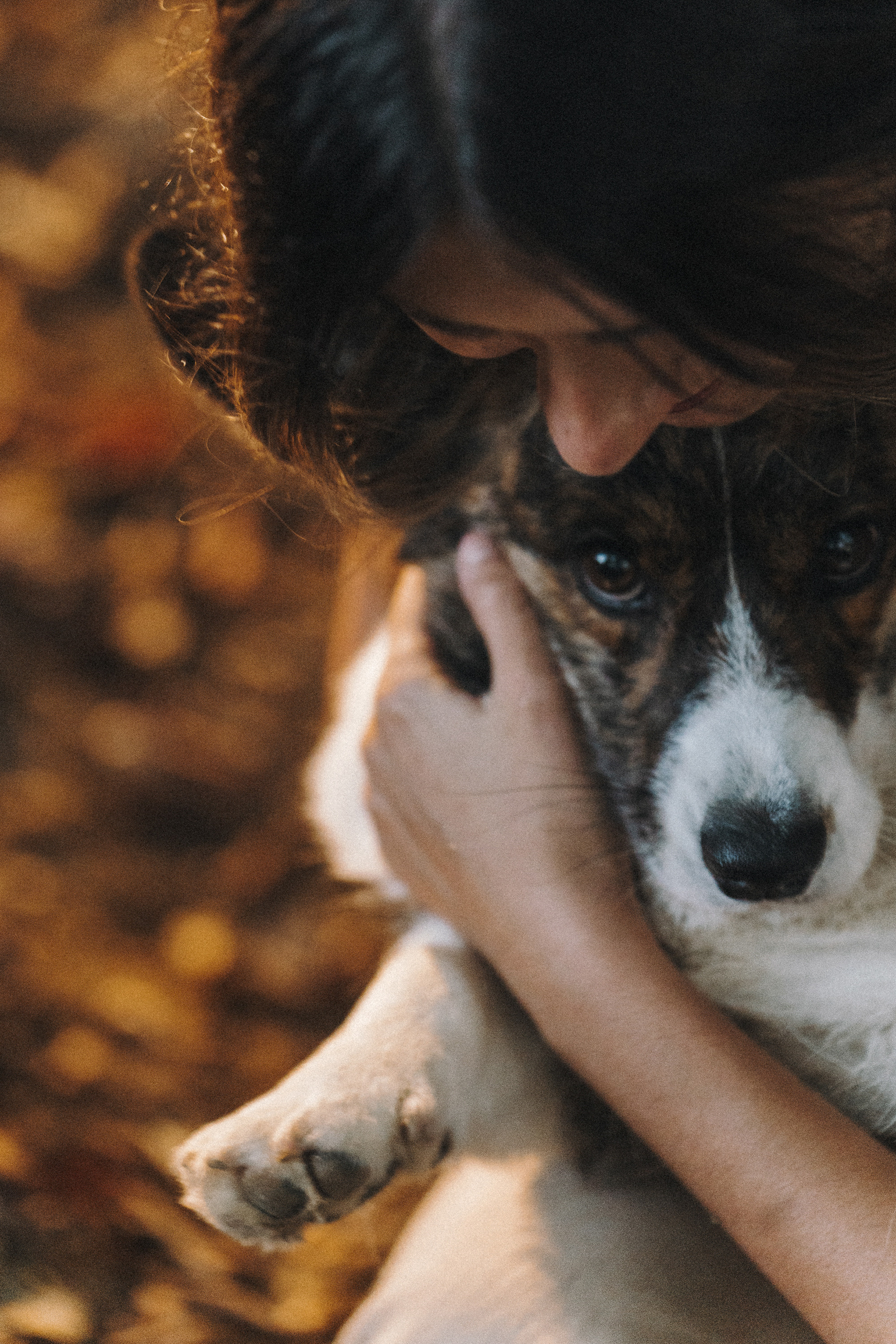 Влада и Коржики. Фотограф анималист в Москве и Санкт-Петербурге Свиридова Анна