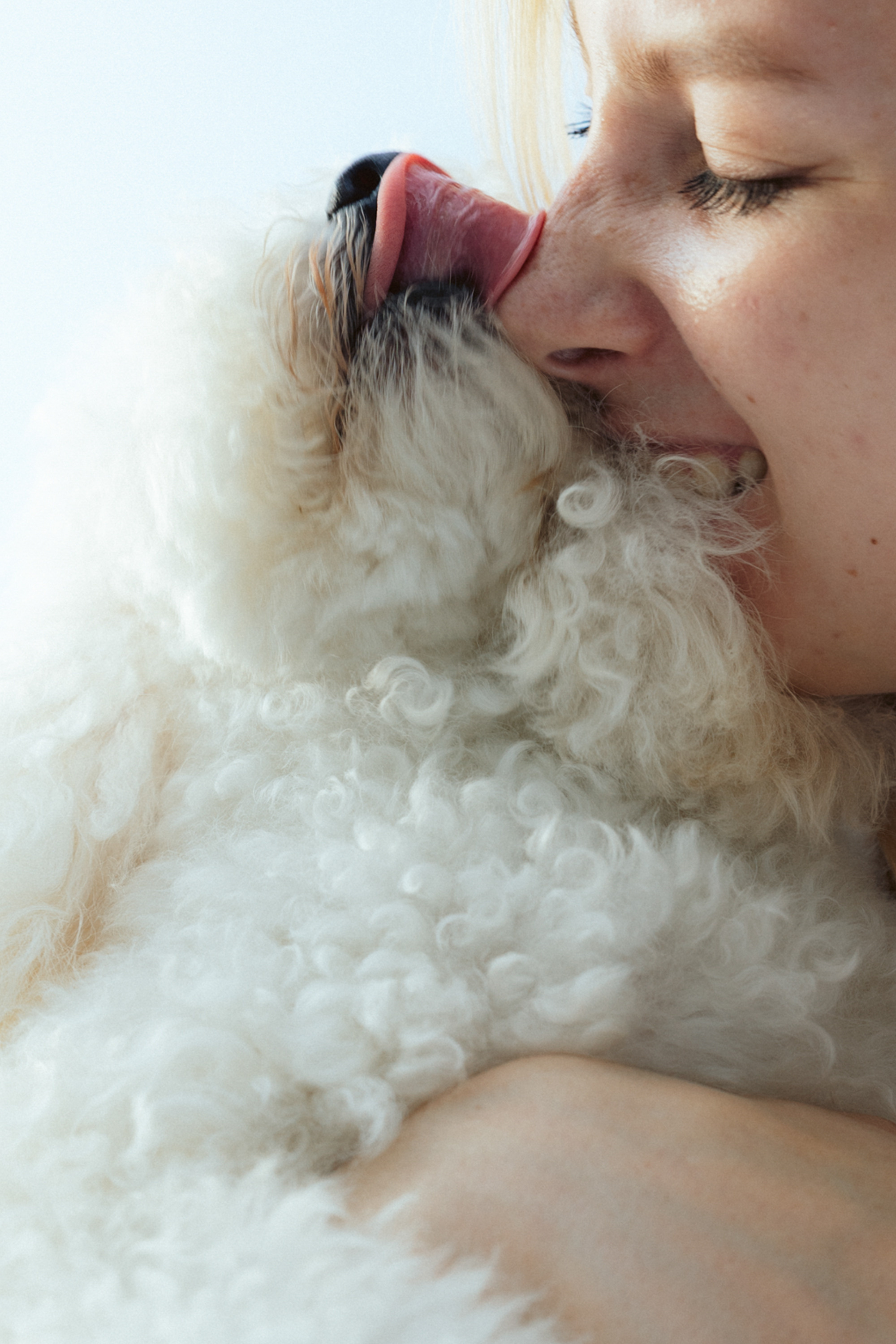Ангелина и Варежка. Фотограф анималист в Москве и Санкт-Петербурге Свиридова Анна
