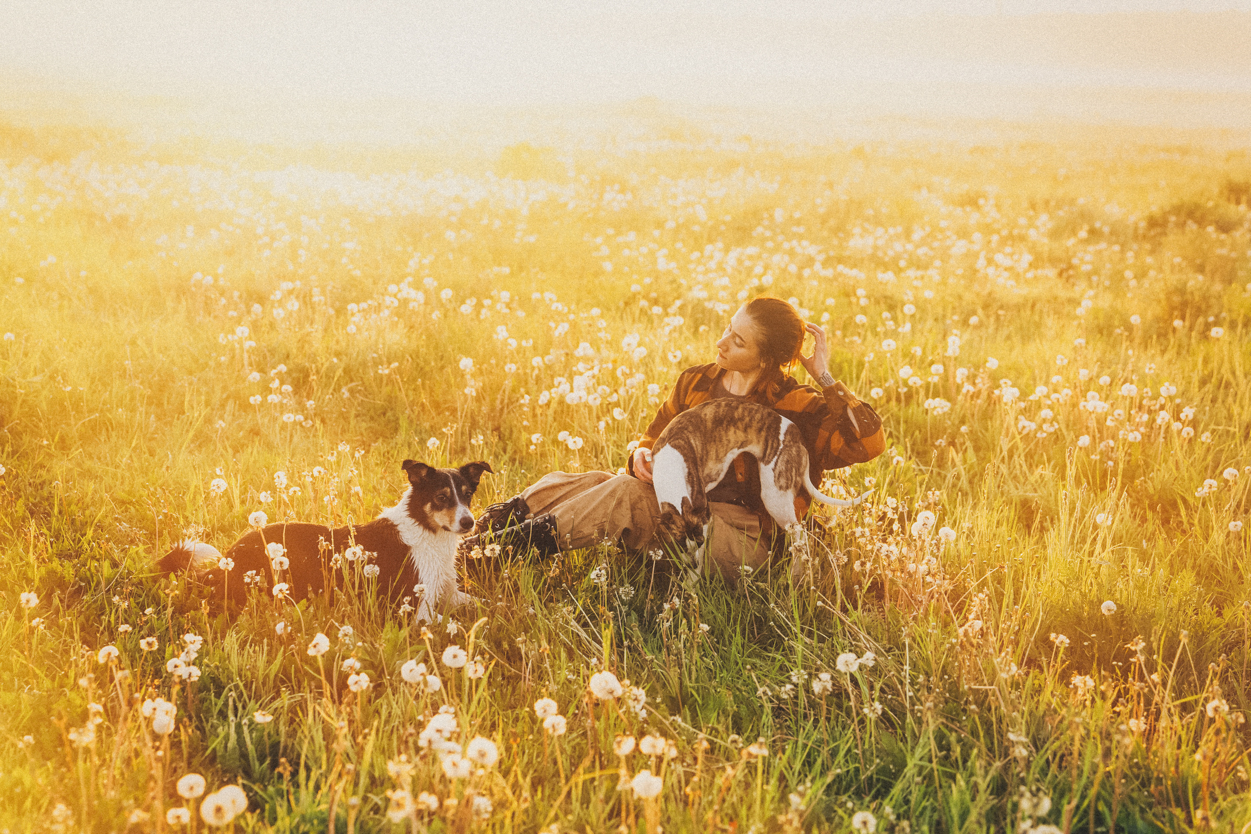 Софа, Уна и Лють. Фотограф анималист в Москве и Санкт-Петербурге Свиридова Анна