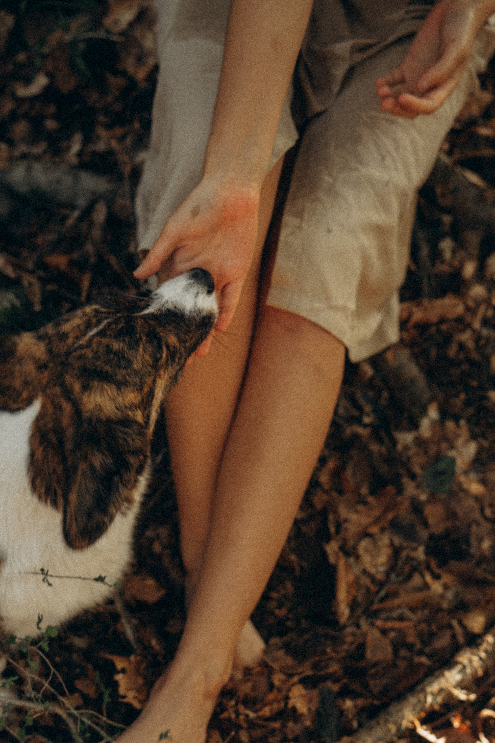 Влада и Коржики. Фотограф анималист в Москве и Санкт-Петербурге Свиридова Анна