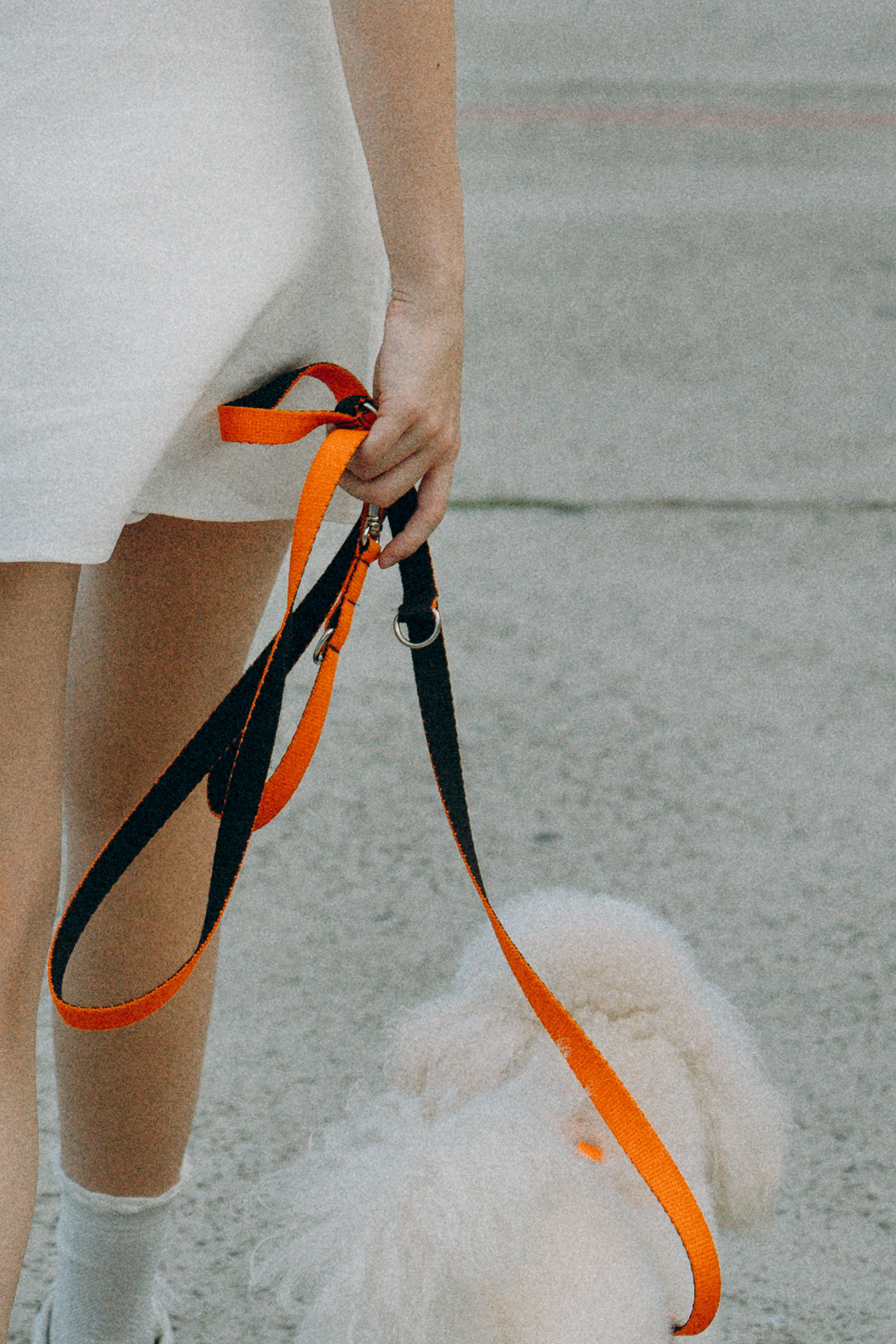 Ангелина и Варежка. Фотограф анималист в Москве и Санкт-Петербурге Свиридова Анна