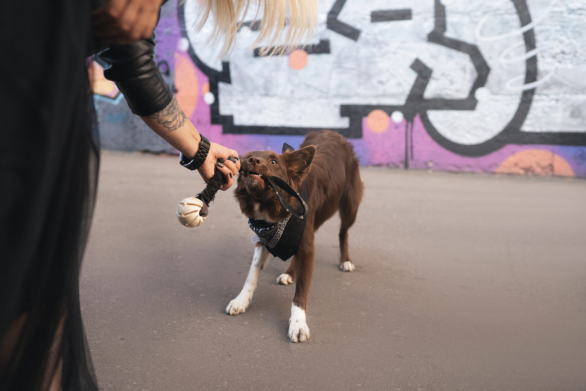 Аня и Брук. Фотограф анималист в Москве и Санкт-Петербурге Свиридова Анна