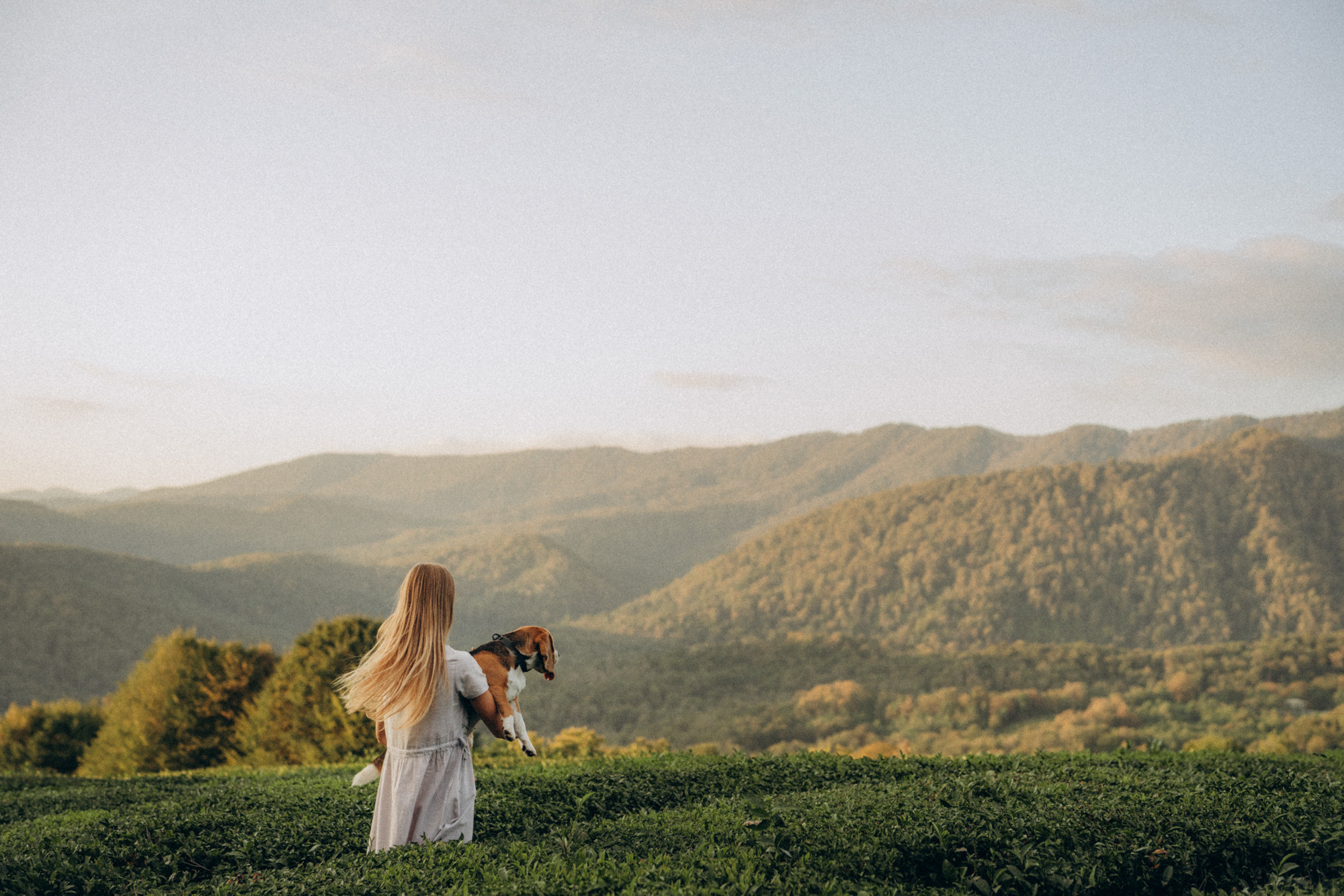 Женя и Мира. Фотограф анималист в Москве и Санкт-Петербурге Свиридова Анна