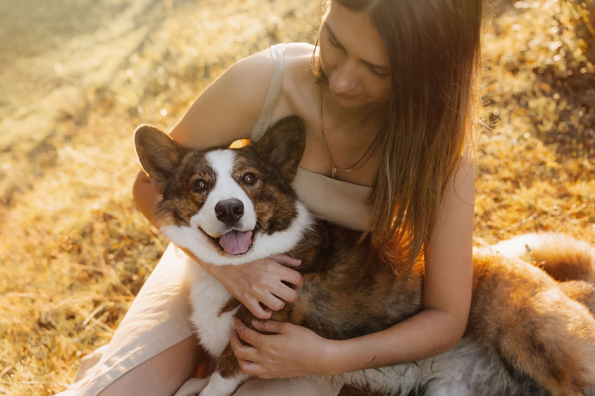 Влада и Коржики. Фотограф анималист в Москве и Санкт-Петербурге Свиридова Анна