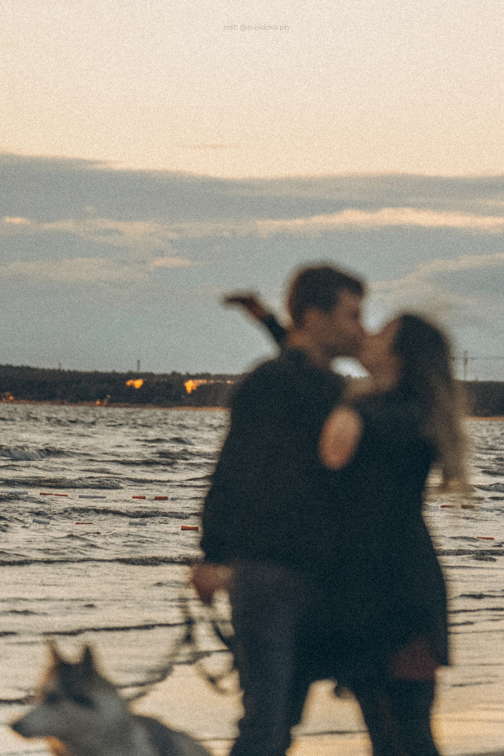 Катя, Илья, Лагерта. Фотограф анималист в Москве и Санкт-Петербурге Свиридова Анна