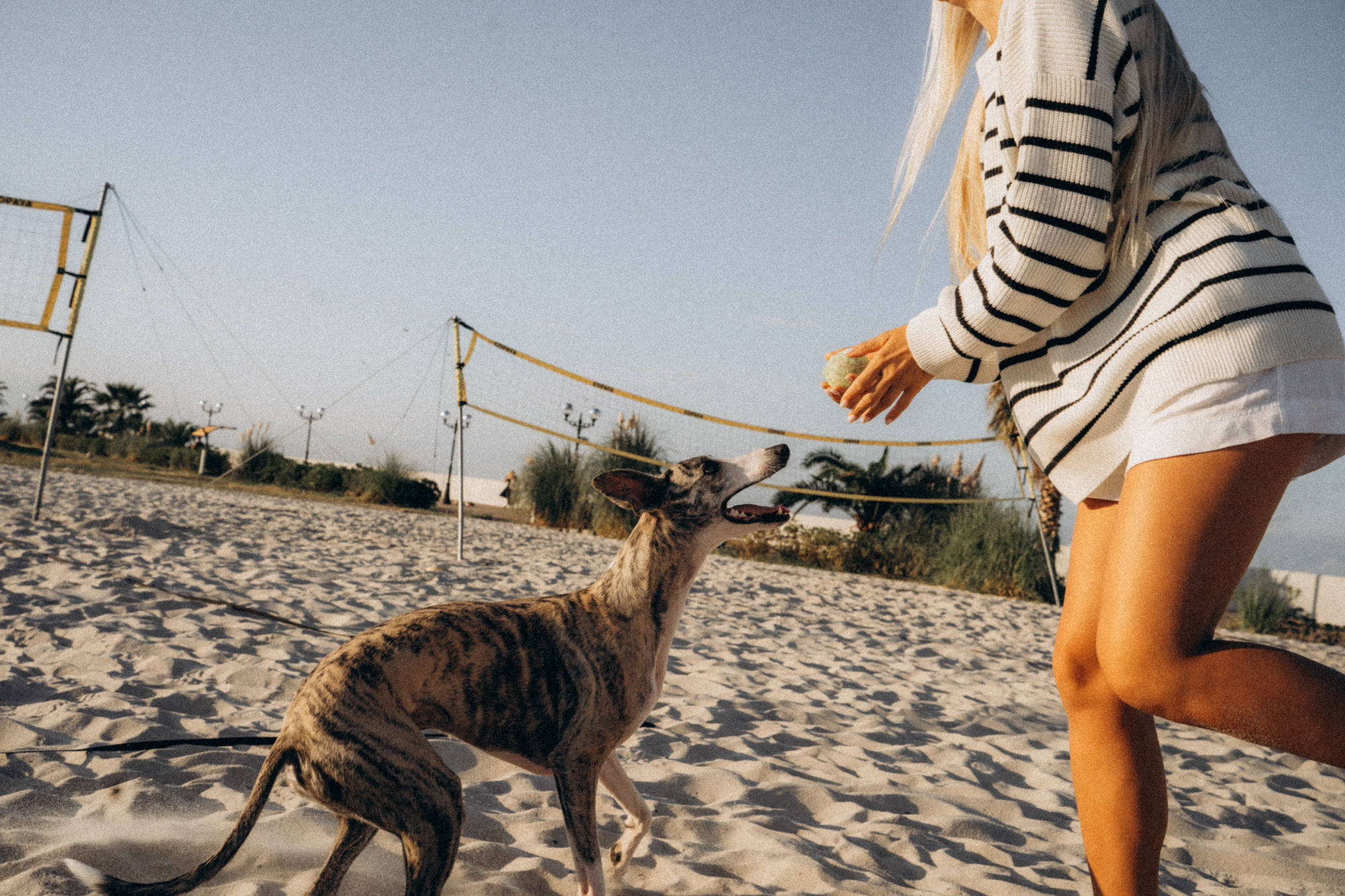 Аня и Джованни. Фотограф анималист в Москве и Санкт-Петербурге Свиридова Анна