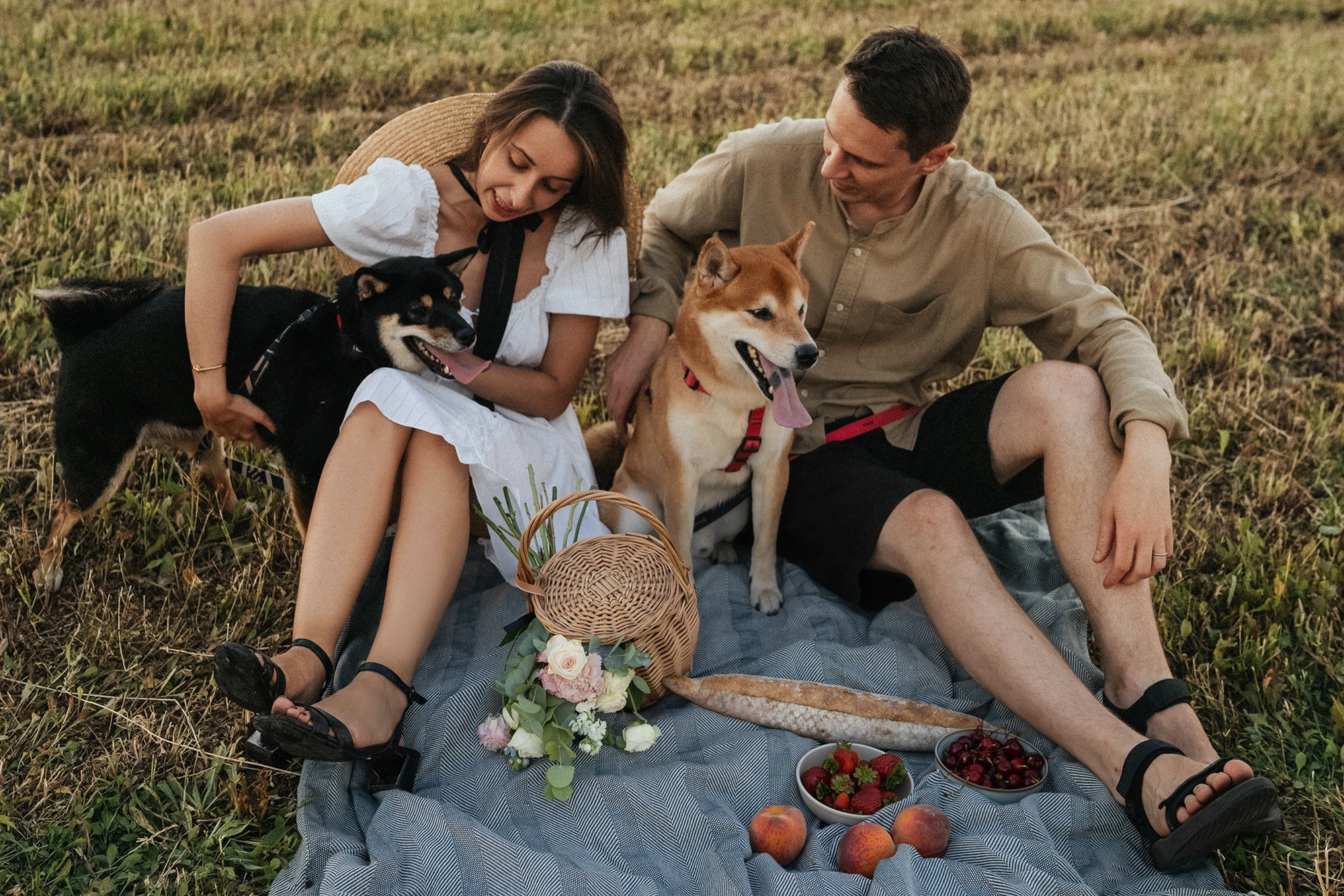 Катя, Вася, Роки и Бэлла. Фотограф анималист в Москве и Санкт-Петербурге Свиридова Анна