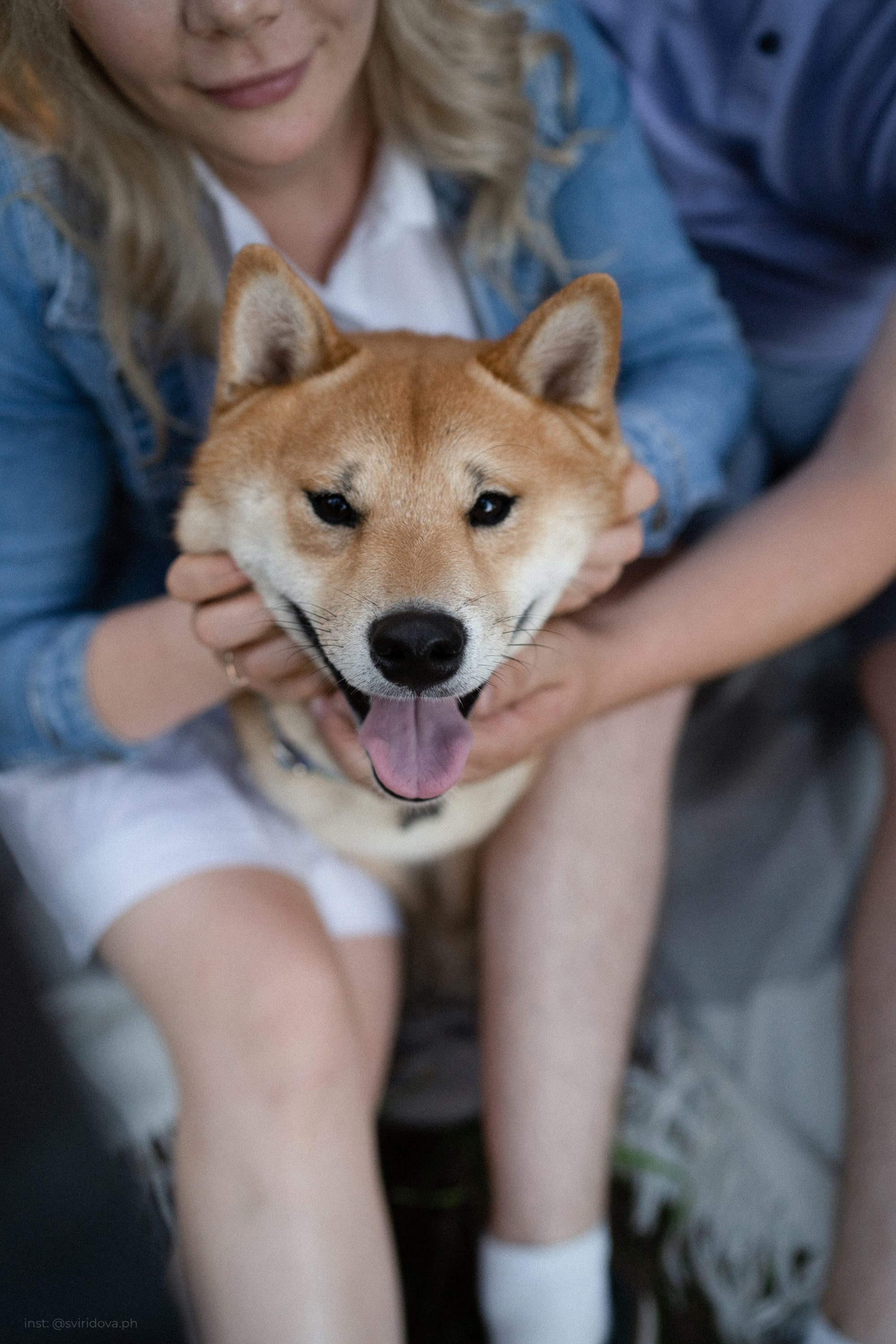 Даша, Сергей и Френки. Фотограф анималист в Москве и Санкт-Петербурге Свиридова Анна