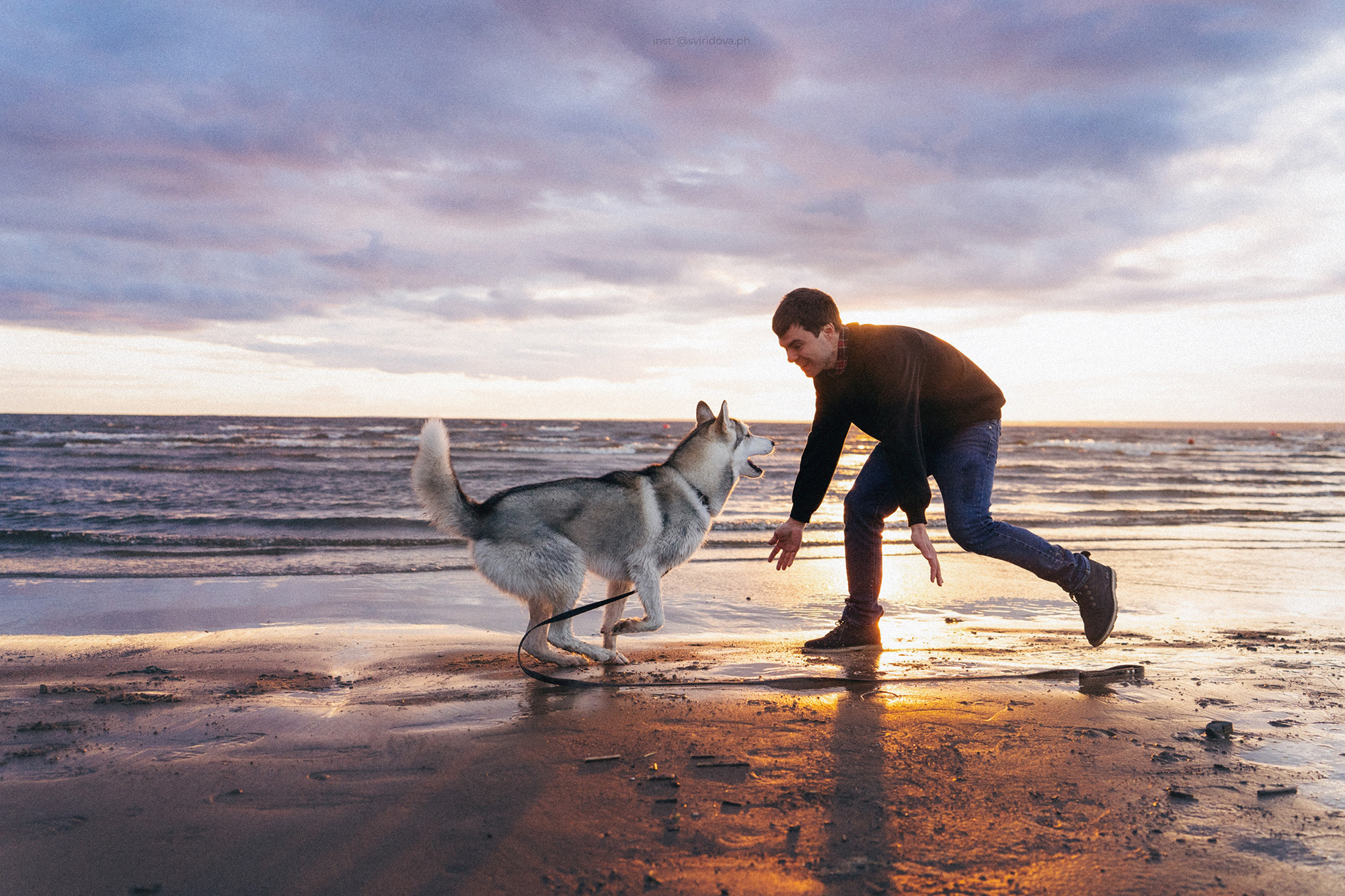 Катя, Илья, Лагерта. Фотограф анималист в Москве и Санкт-Петербурге Свиридова Анна