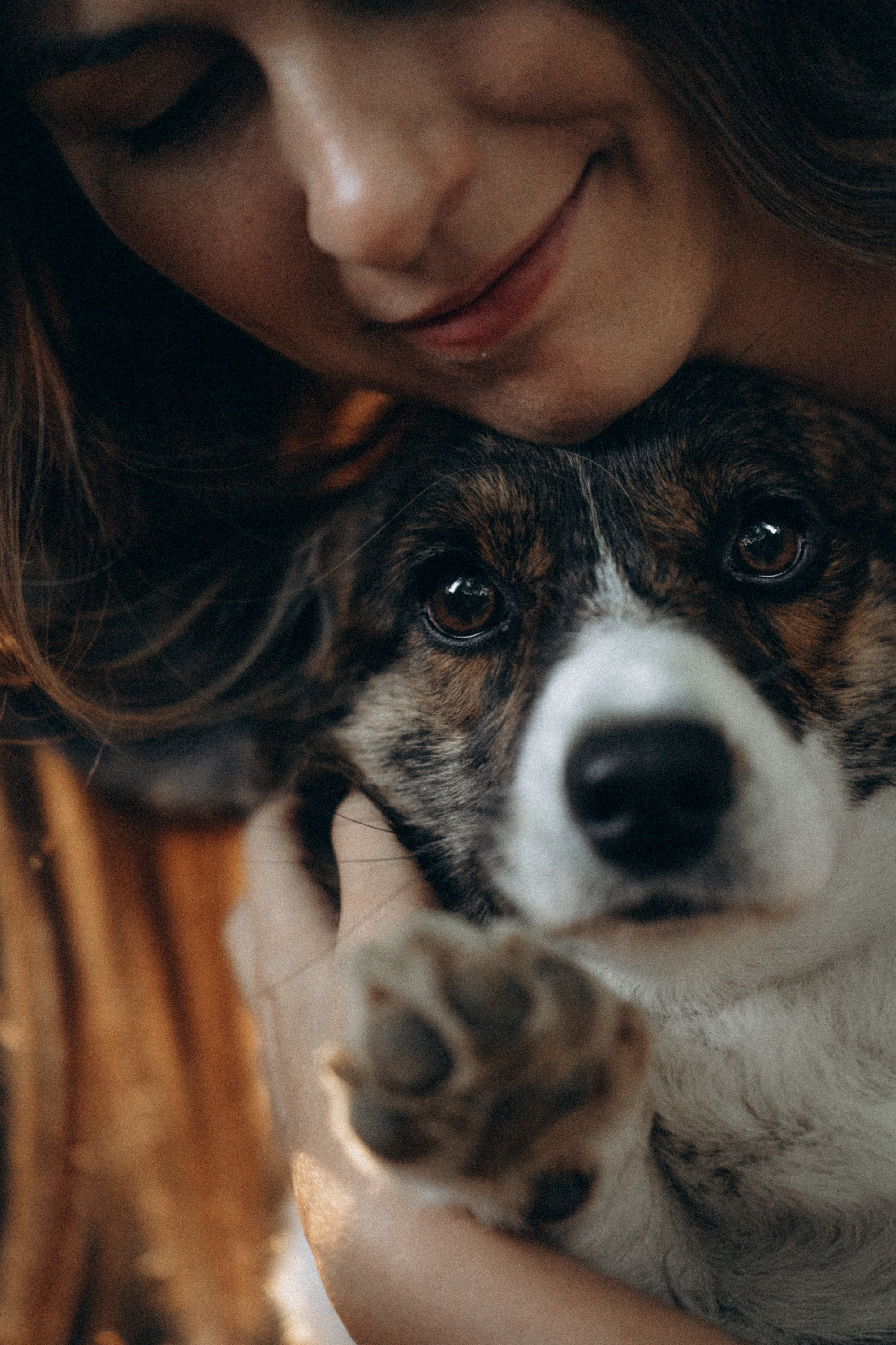 Влада и Коржики. Фотограф анималист в Москве и Санкт-Петербурге Свиридова Анна