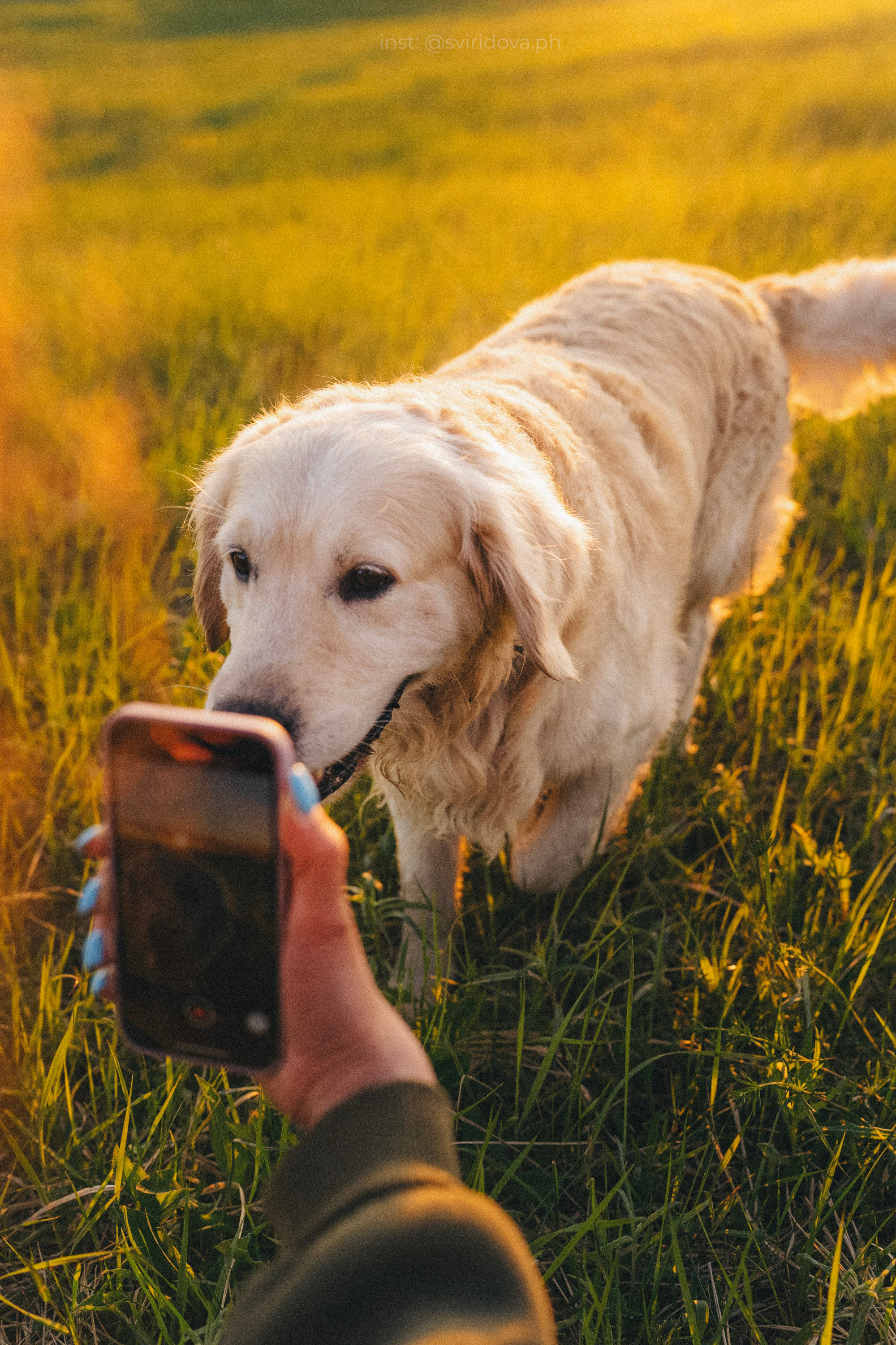 Настя и Арчи. Фотограф анималист в Москве и Санкт-Петербурге Свиридова Анна