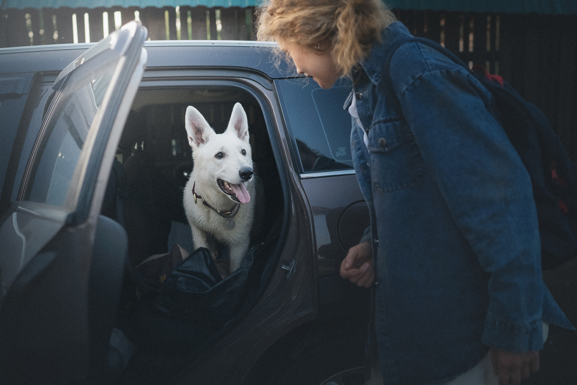 Лиза и Юста. Фотограф анималист в Москве и Санкт-Петербурге Свиридова Анна