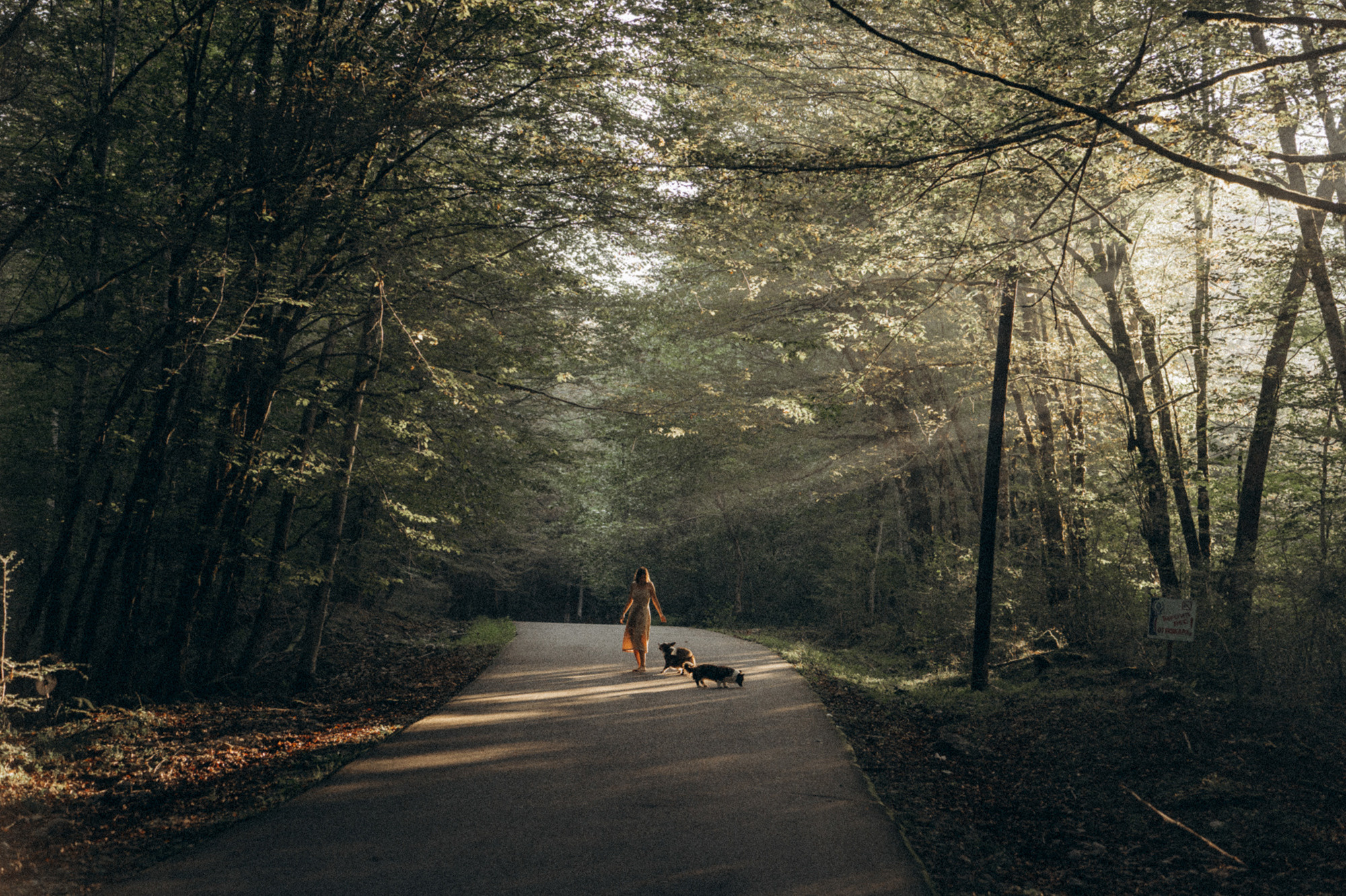 Влада и Коржики. Фотограф анималист в Москве и Санкт-Петербурге Свиридова Анна