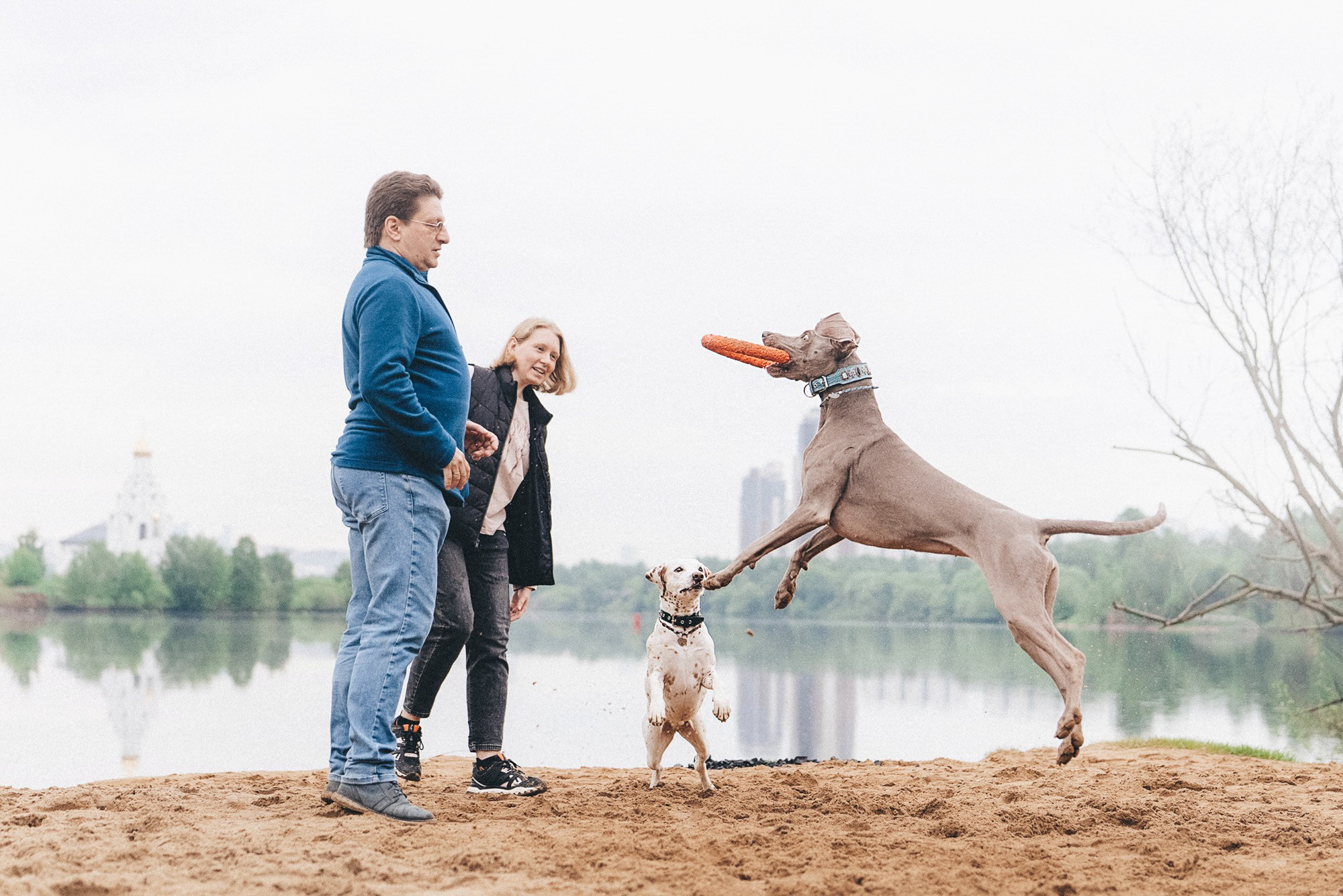 Полина, Борис, Луна и Эль. Фотограф анималист в Москве и Санкт-Петербурге Свиридова Анна