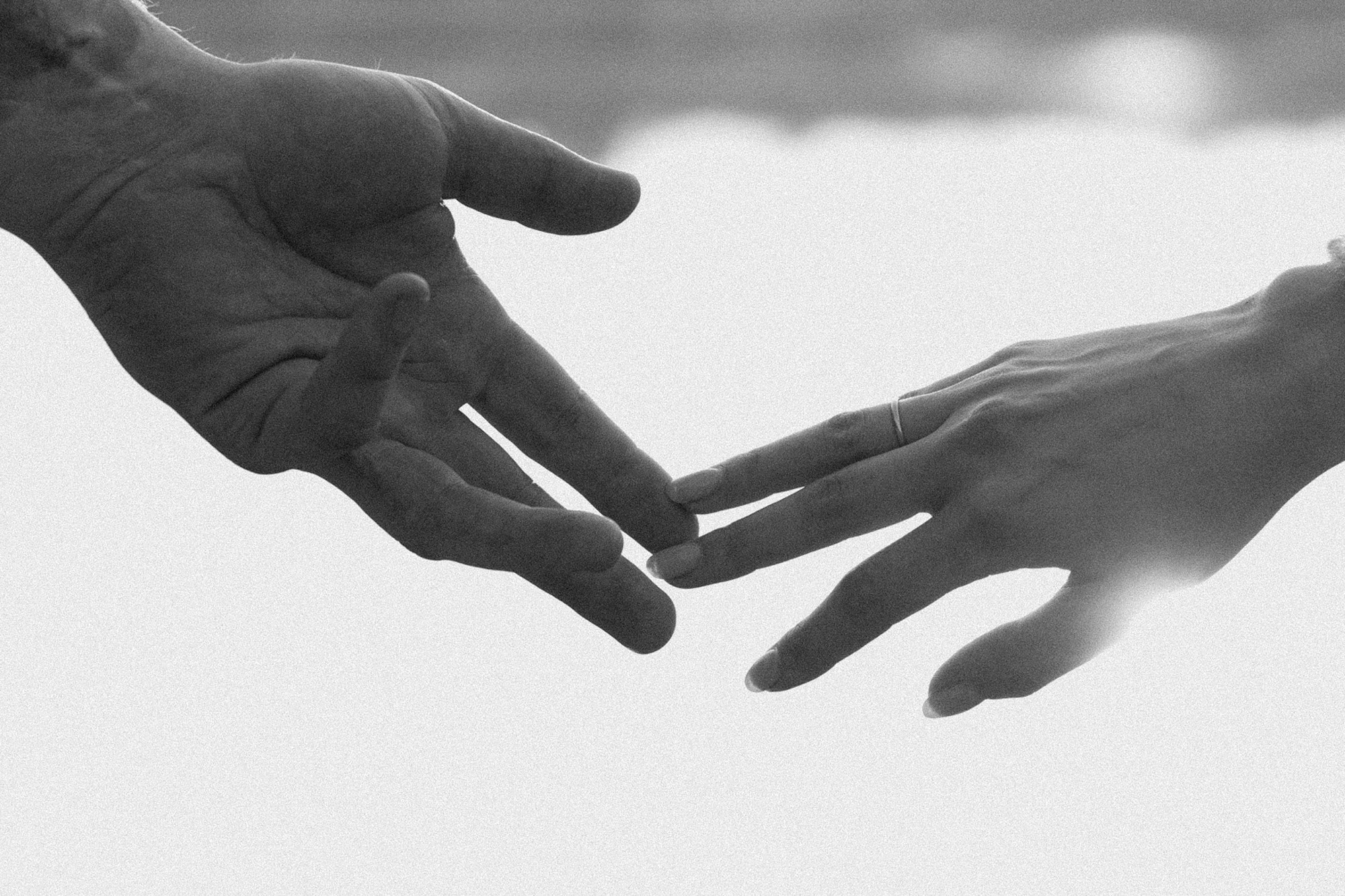 Аня, Игорь, Аусь и Хась. Фотограф анималист в Москве и Санкт-Петербурге Свиридова Анна