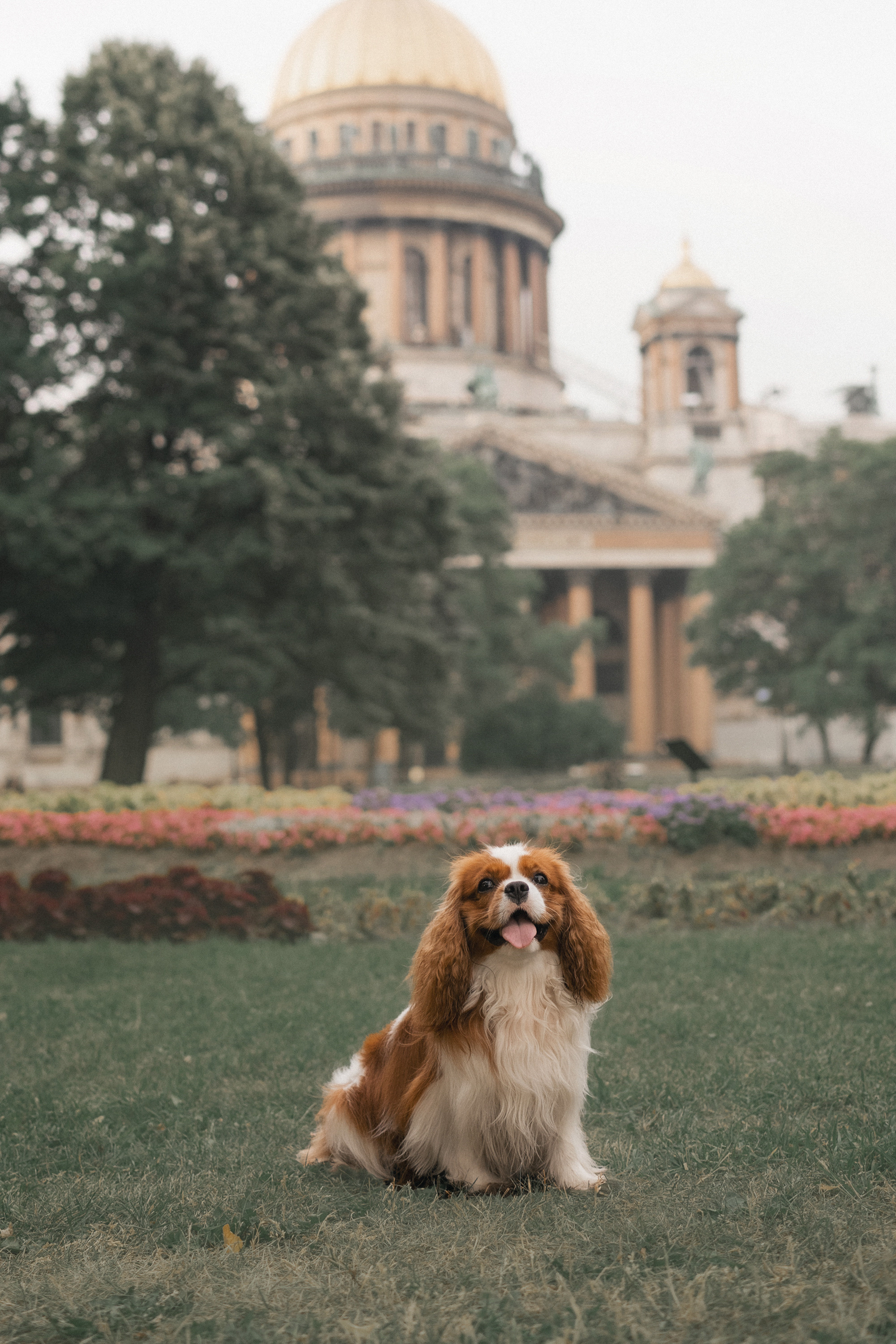 Таня и Лео. Фотограф анималист в Москве и Санкт-Петербурге Свиридова Анна