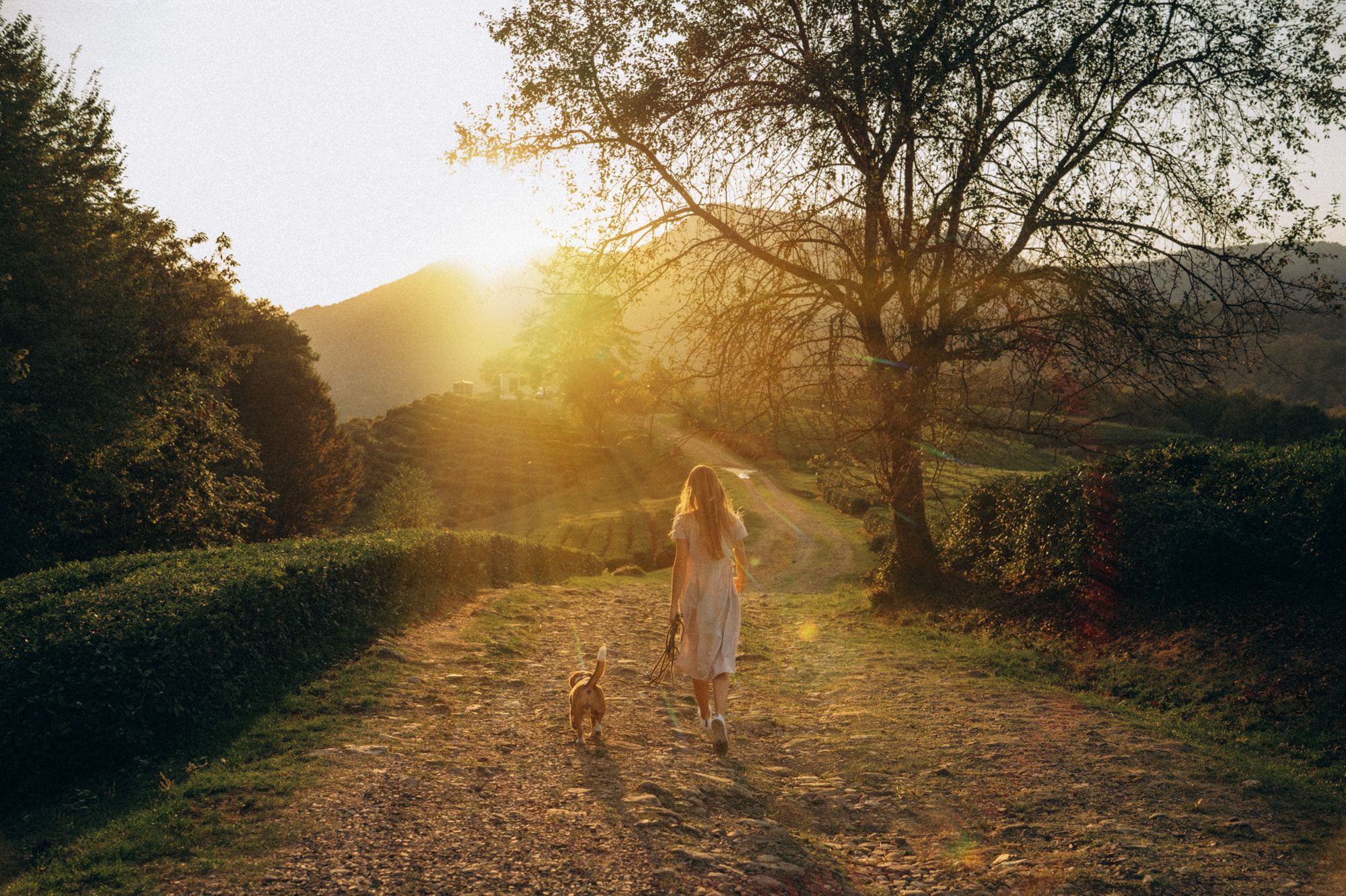 Женя и Мира. Фотограф анималист в Москве и Санкт-Петербурге Свиридова Анна