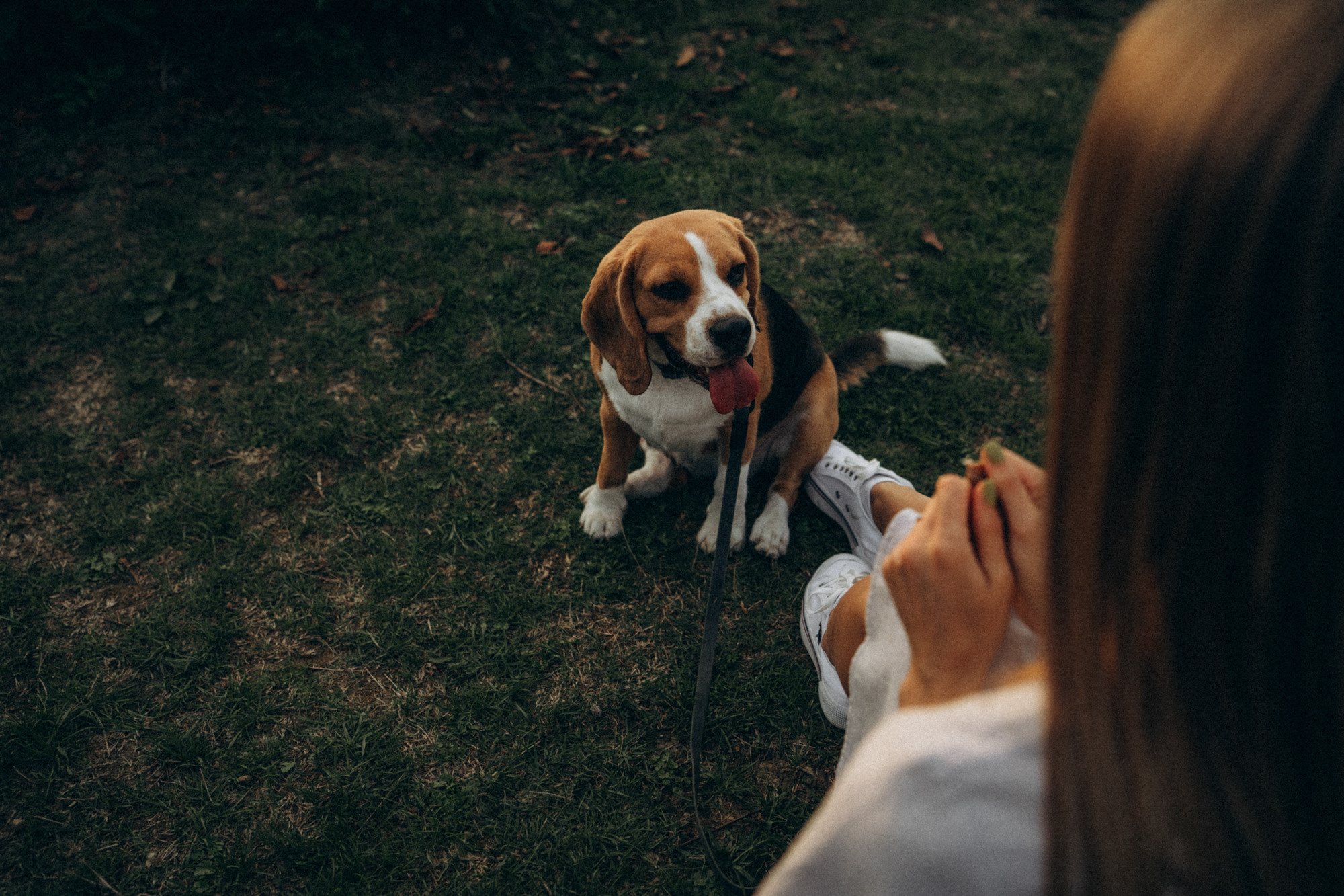 Женя и Мира. Фотограф анималист в Москве и Санкт-Петербурге Свиридова Анна