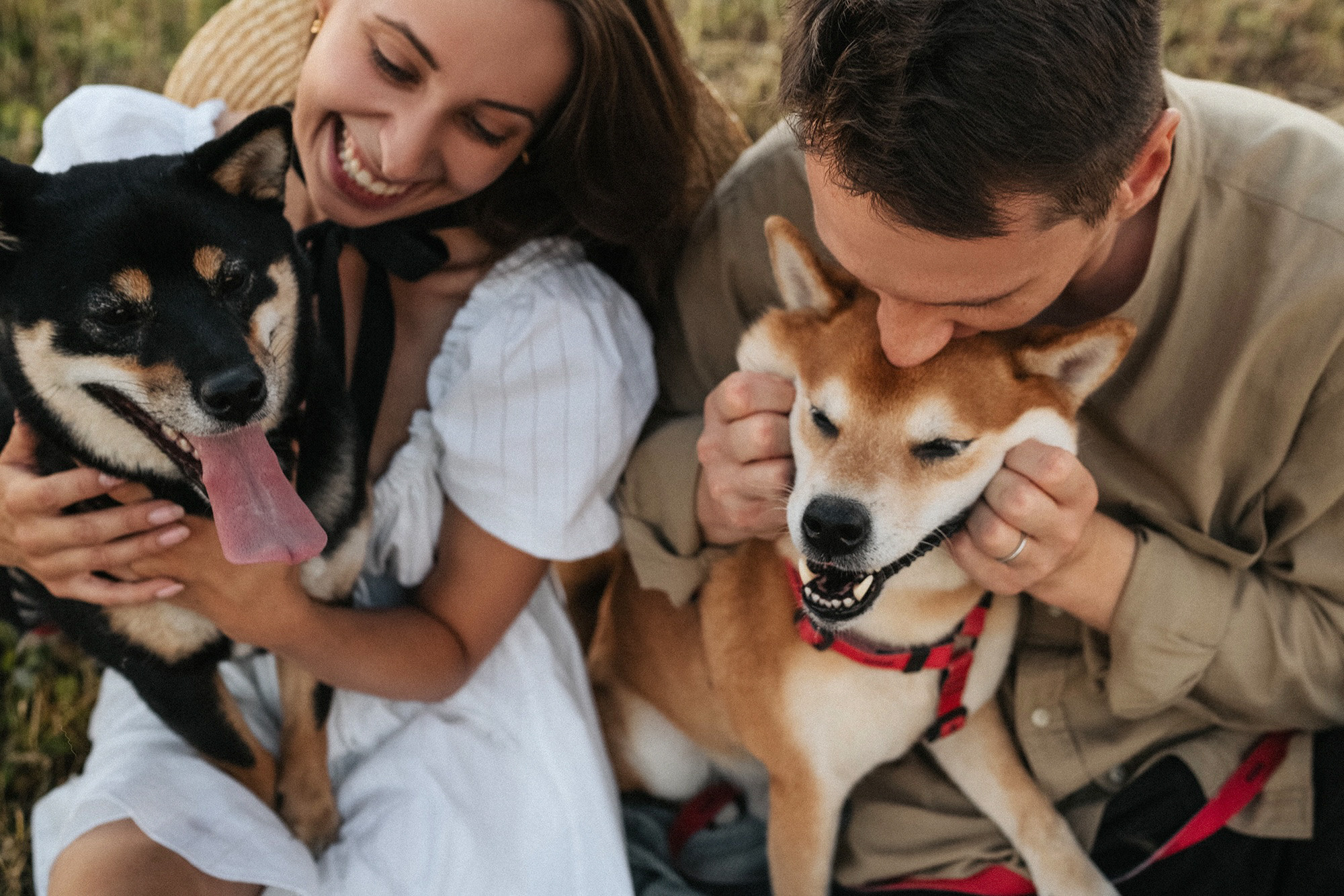Катя, Вася, Роки и Бэлла. Фотограф анималист в Москве и Санкт-Петербурге Свиридова Анна