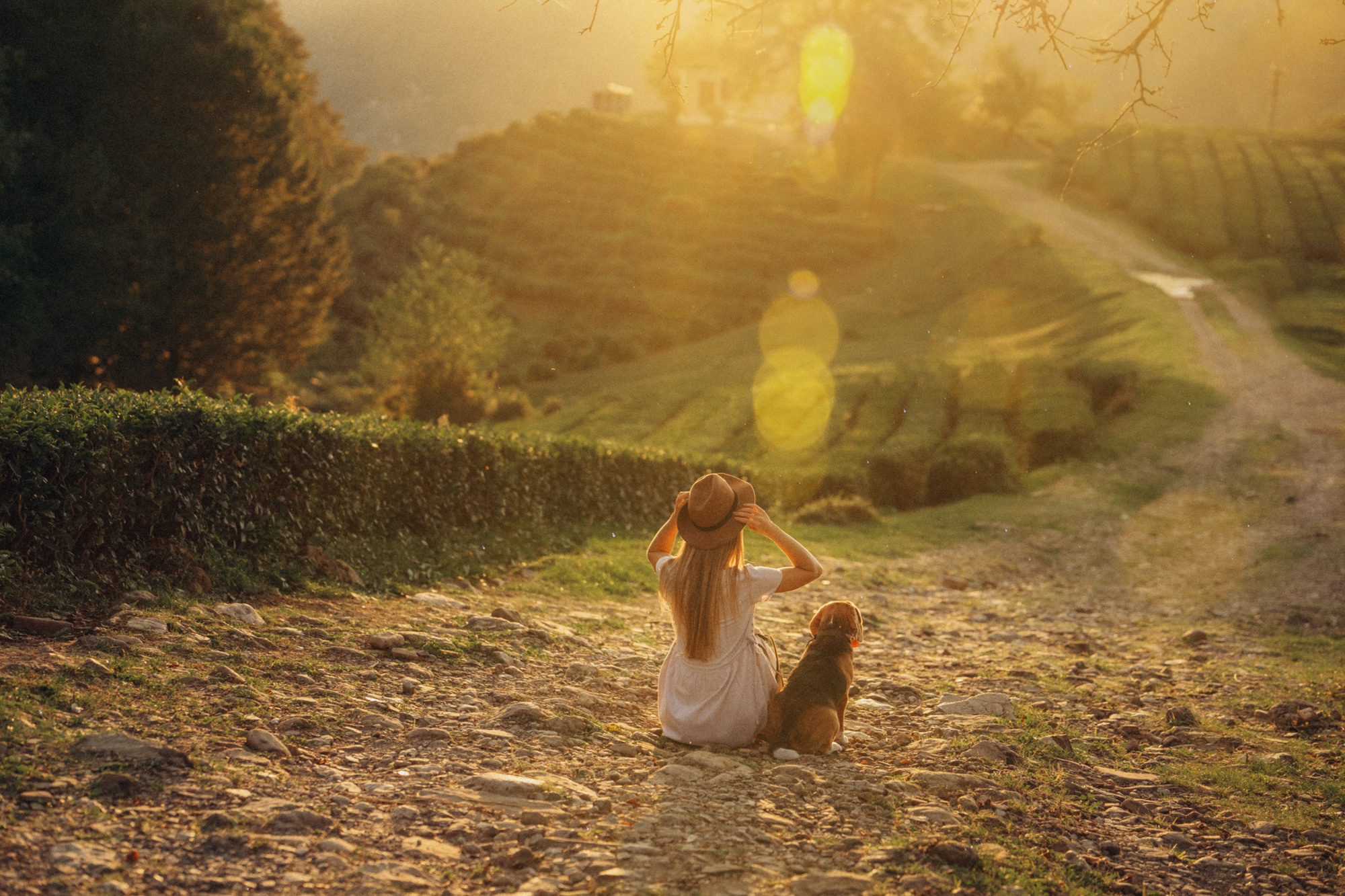 Женя и Мира. Фотограф анималист в Москве и Санкт-Петербурге Свиридова Анна