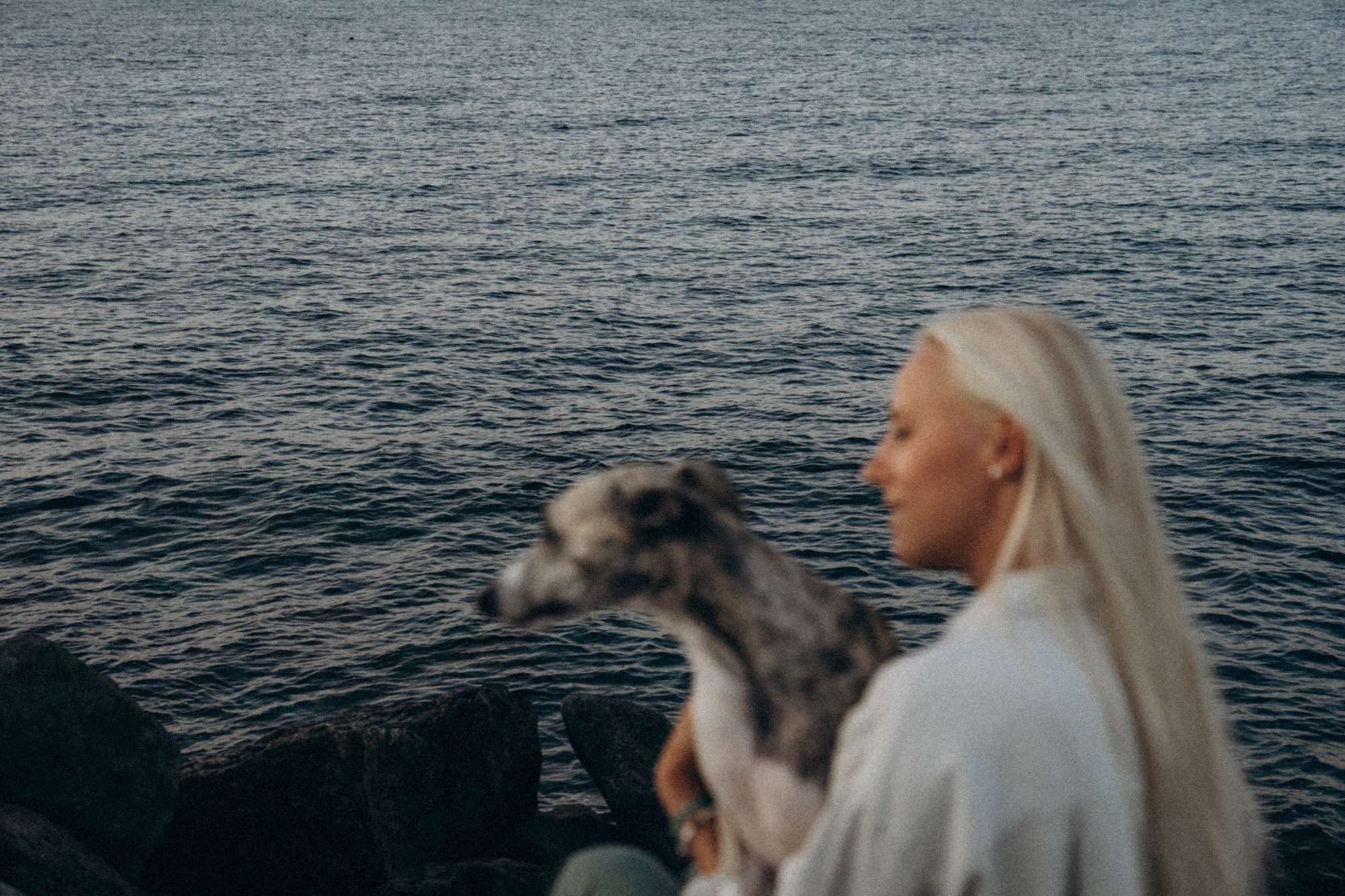 Аня и Джованни. Фотограф анималист в Москве и Санкт-Петербурге Свиридова Анна