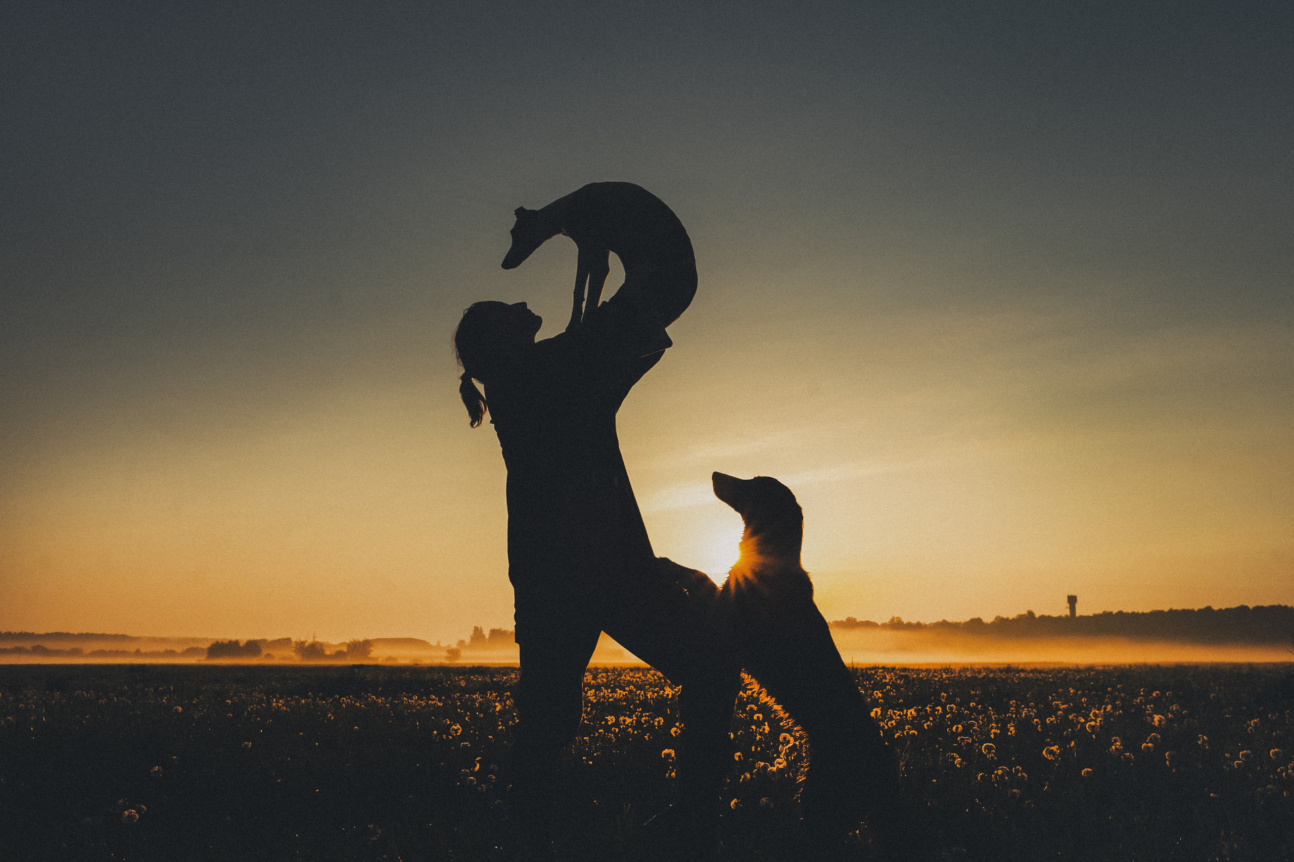 Софа, Уна и Лють. Фотограф анималист в Москве и Санкт-Петербурге Свиридова Анна