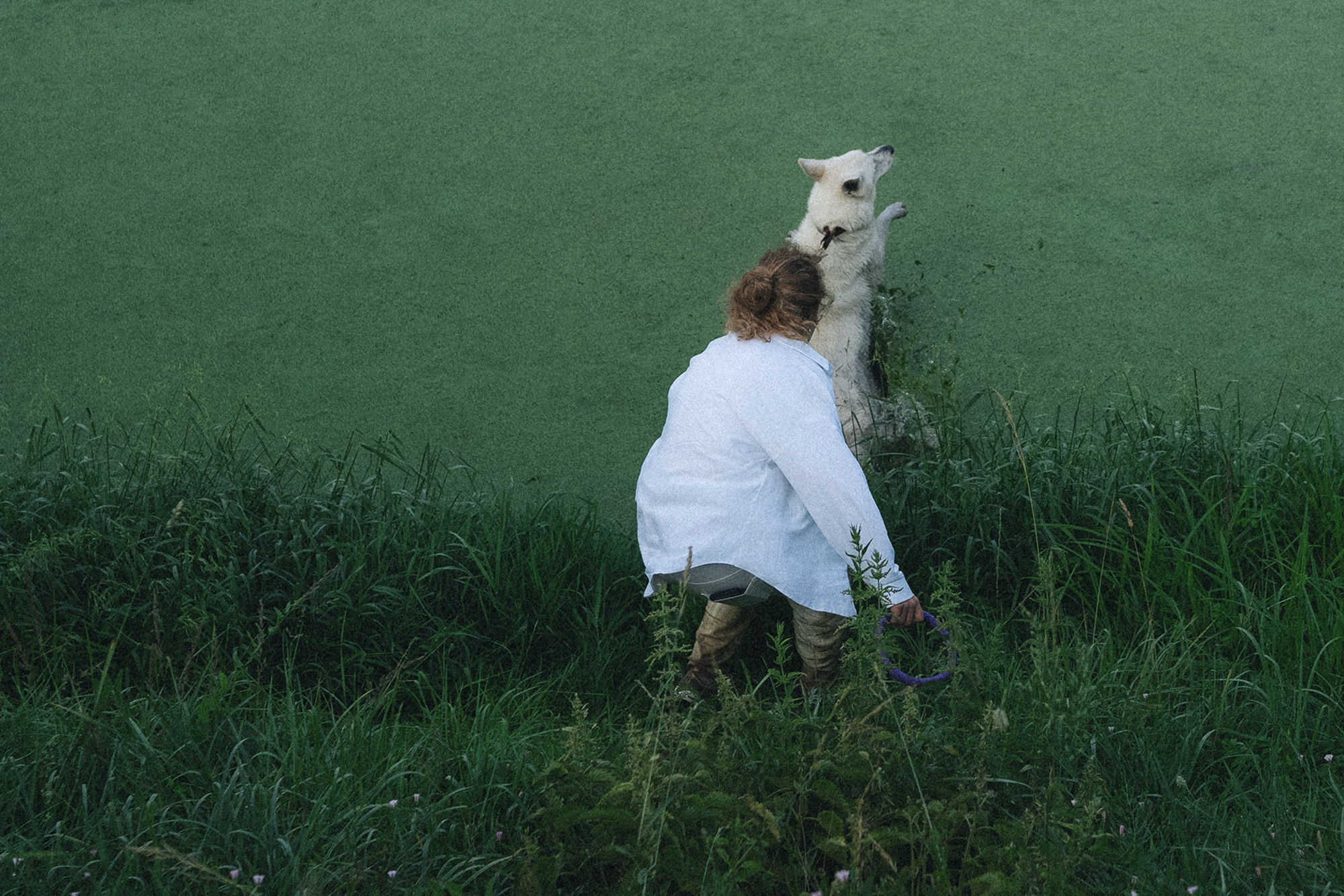 Лиза и Юста. Фотограф анималист в Москве и Санкт-Петербурге Свиридова Анна