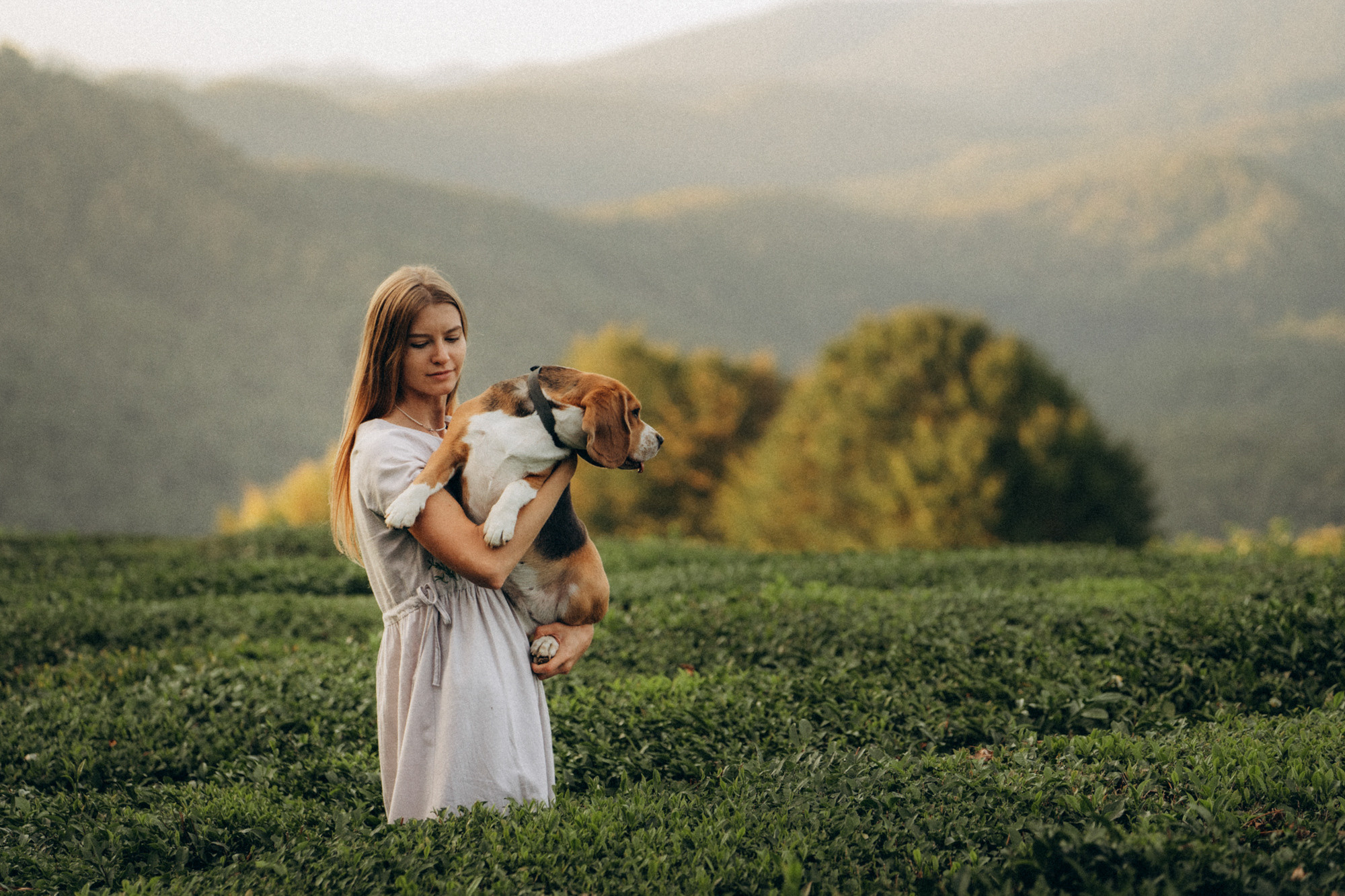 Женя и Мира. Фотограф анималист в Москве и Санкт-Петербурге Свиридова Анна