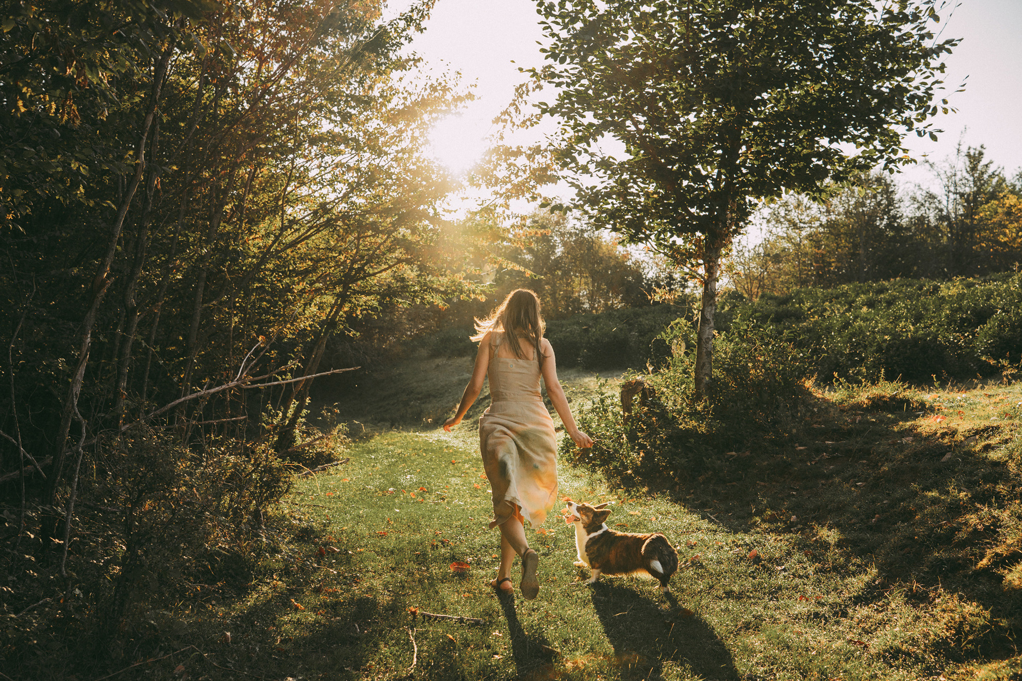 Влада и Коржики. Фотограф анималист в Москве и Санкт-Петербурге Свиридова Анна
