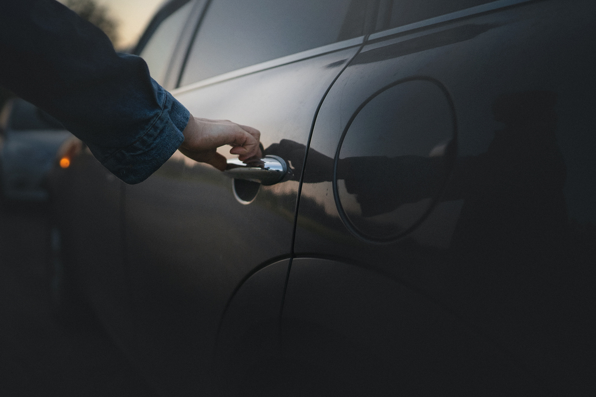 Лиза и Юста. Фотограф анималист в Москве и Санкт-Петербурге Свиридова Анна