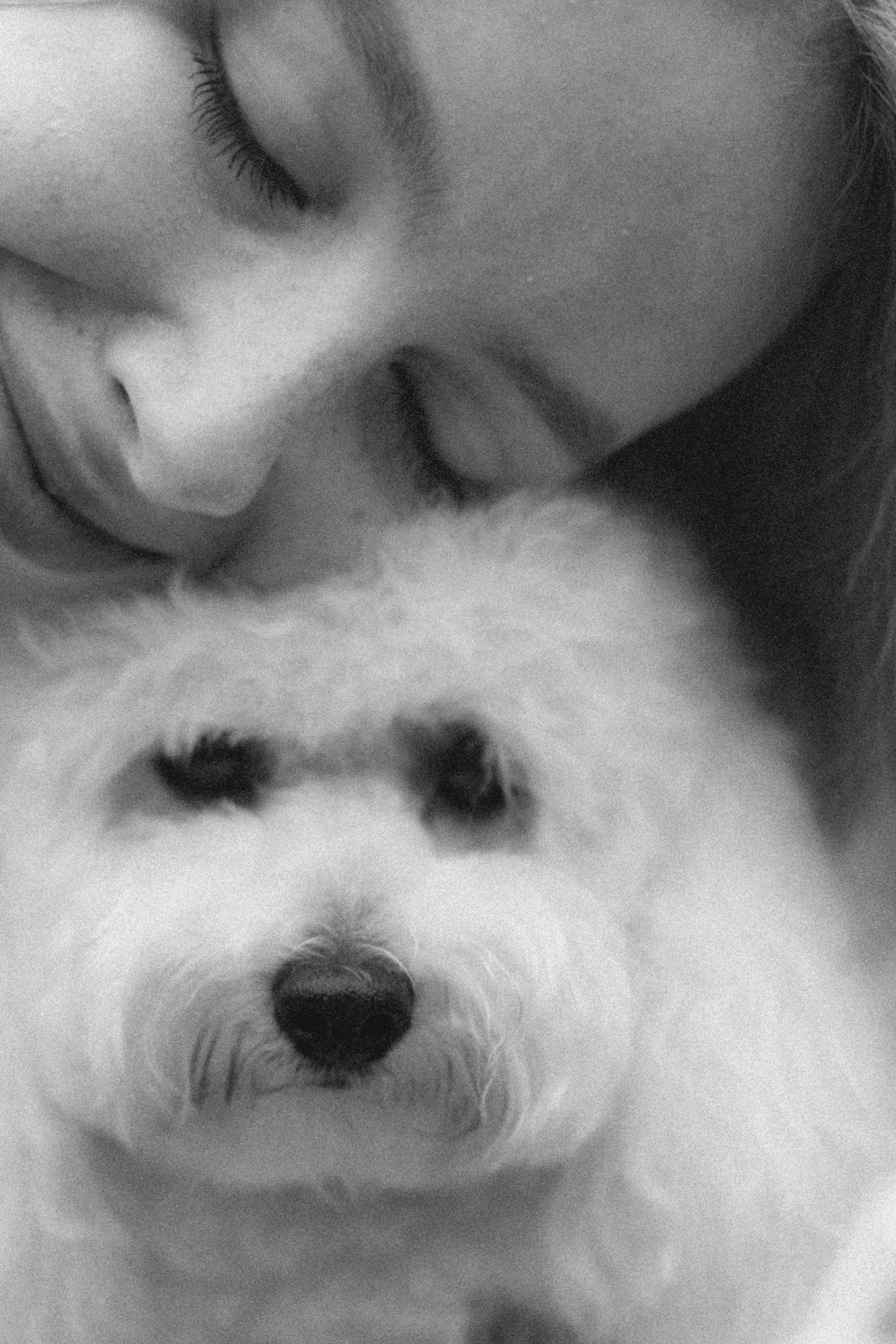 Ангелина и Варежка. Фотограф анималист в Москве и Санкт-Петербурге Свиридова Анна