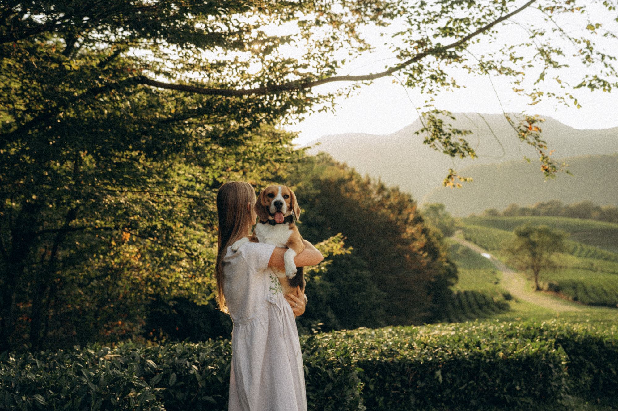Женя и Мира. Фотограф анималист в Москве и Санкт-Петербурге Свиридова Анна