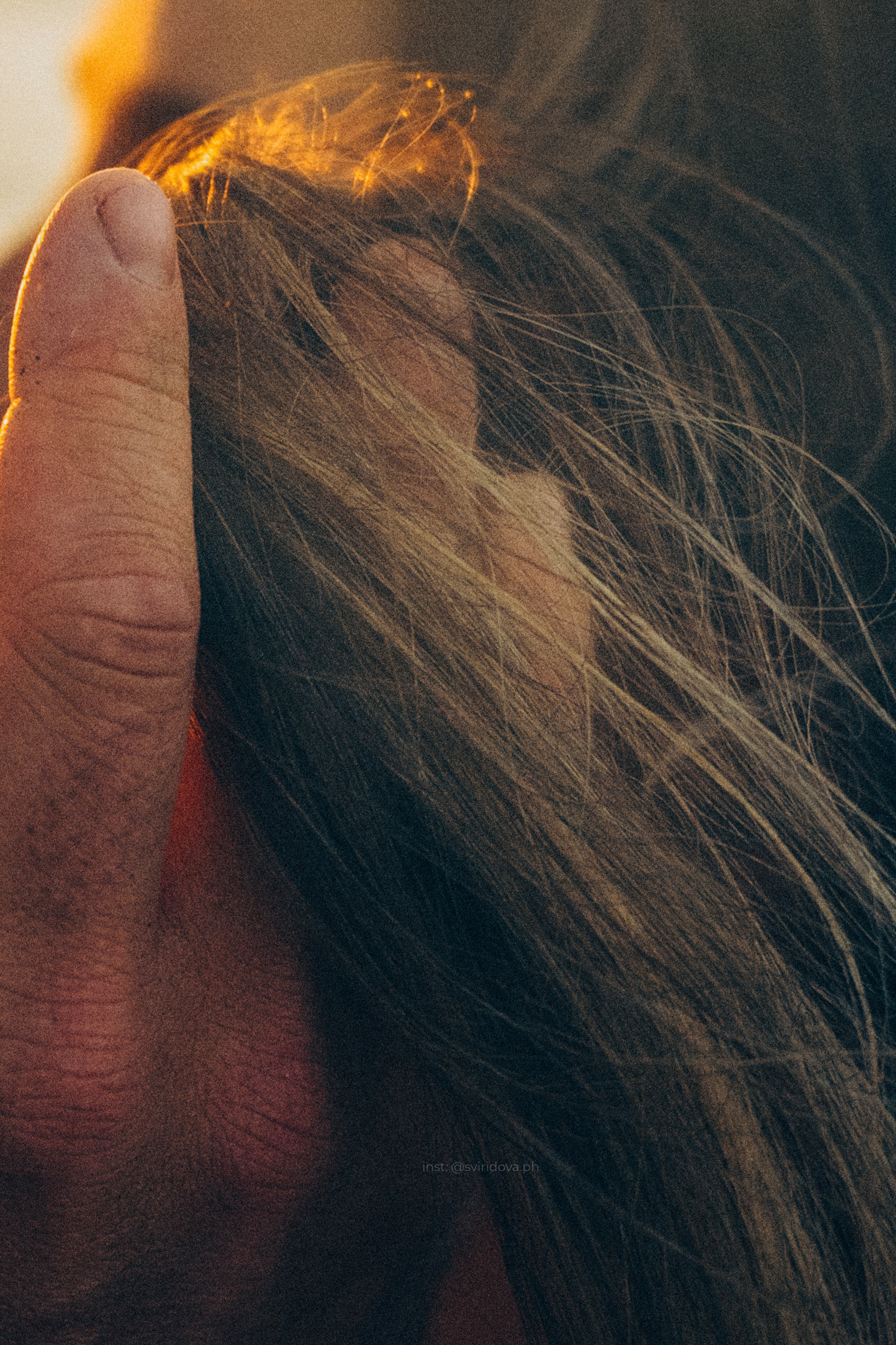 Катя, Илья, Лагерта. Фотограф анималист в Москве и Санкт-Петербурге Свиридова Анна