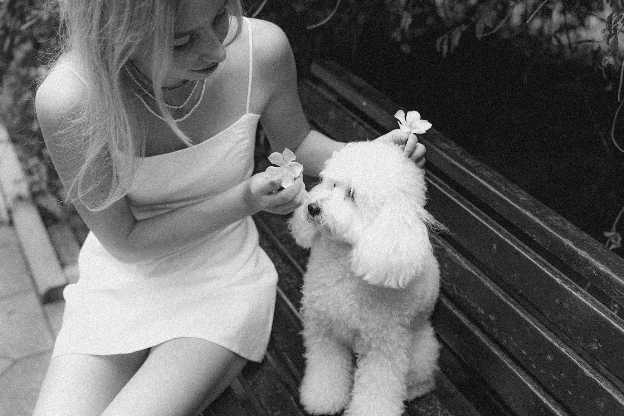 Ангелина и Варежка. Фотограф анималист в Москве и Санкт-Петербурге Свиридова Анна