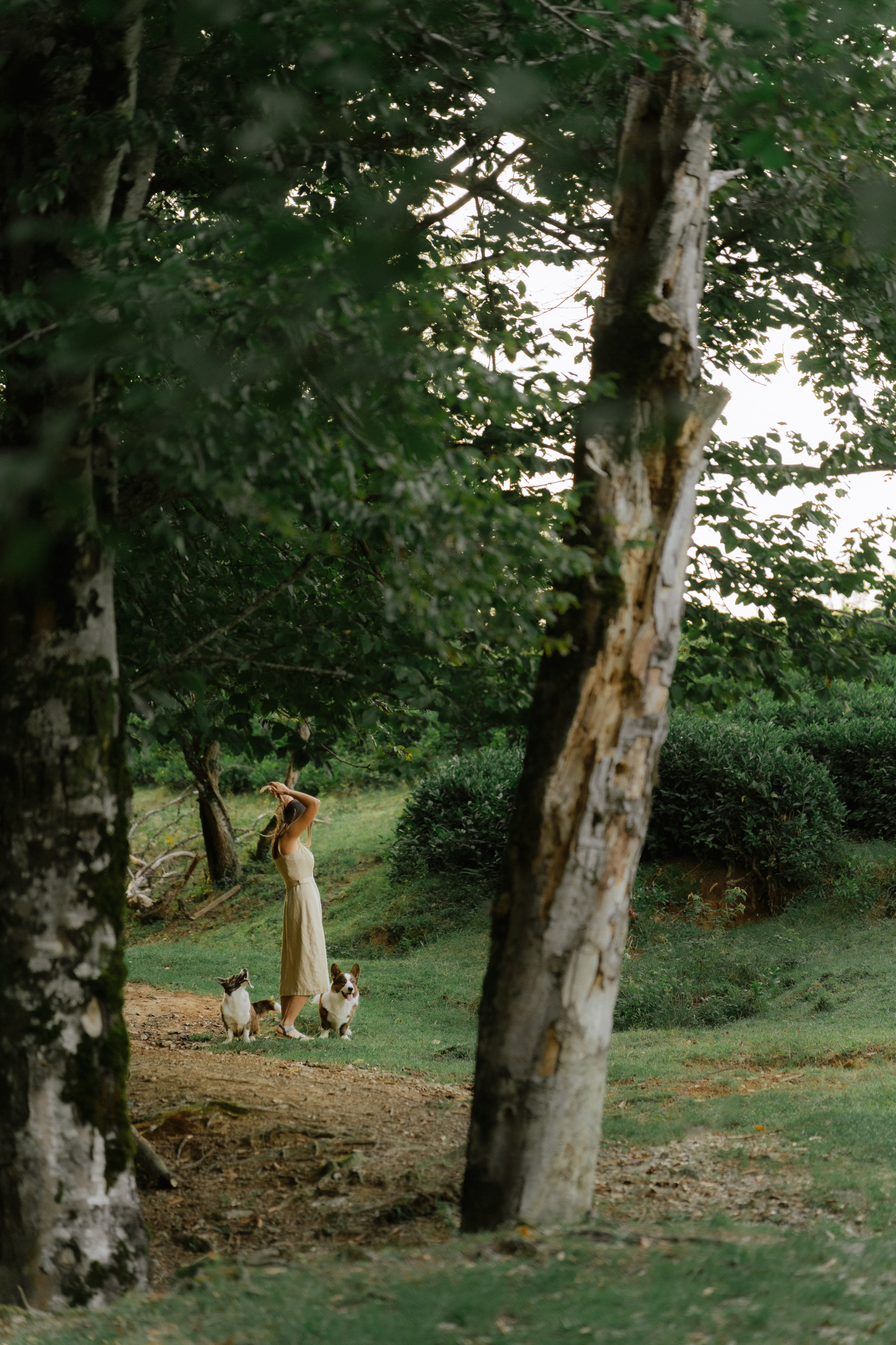 Влада и Коржики. Фотограф анималист в Москве и Санкт-Петербурге Свиридова Анна