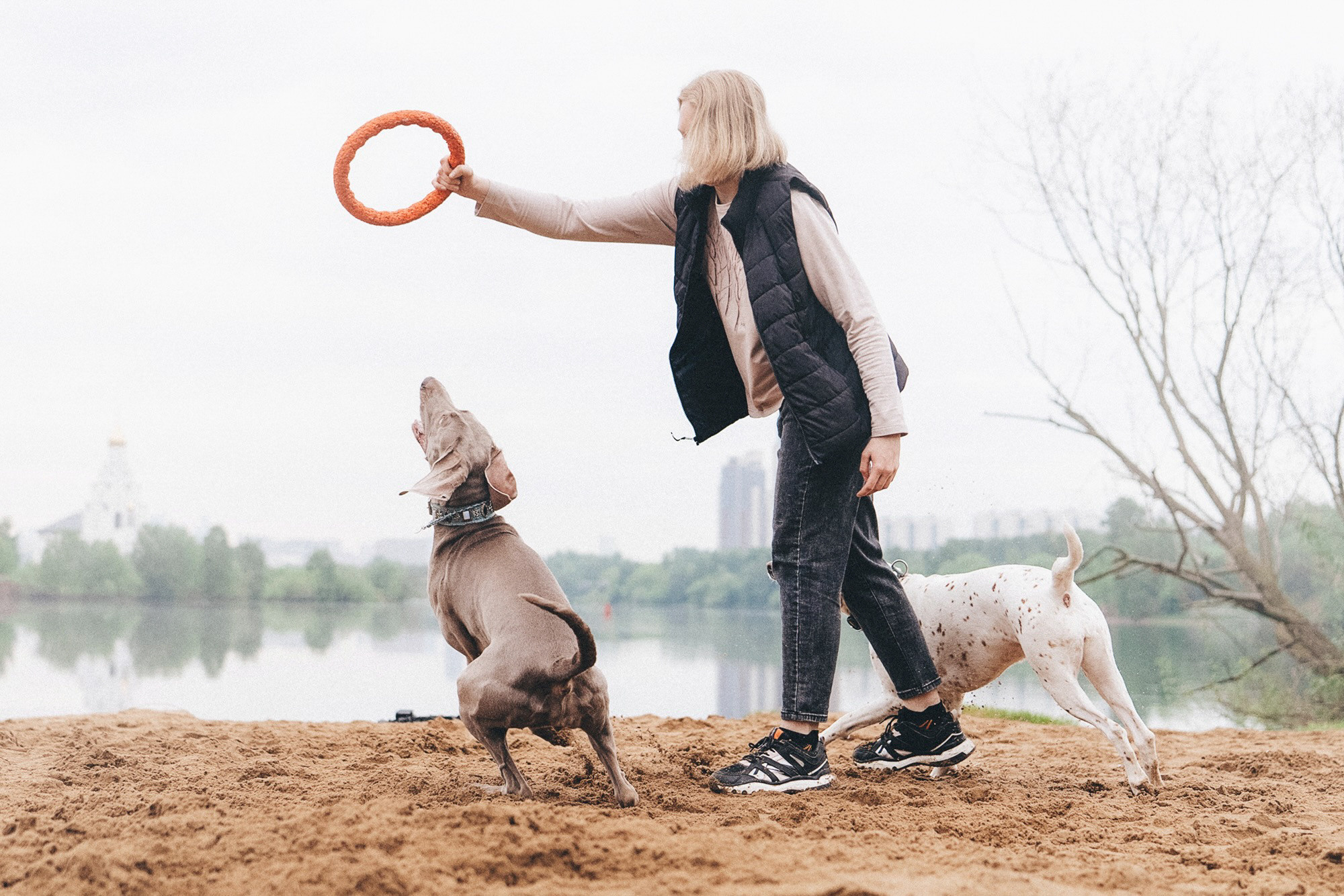 Полина, Борис, Луна и Эль. Фотограф анималист в Москве и Санкт-Петербурге Свиридова Анна