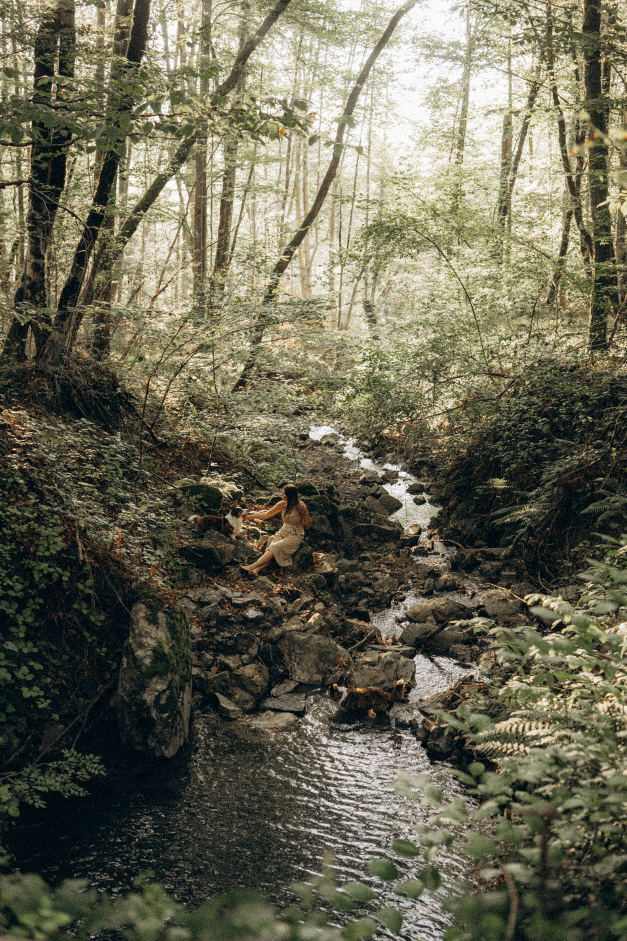 Влада и Коржики. Фотограф анималист в Москве и Санкт-Петербурге Свиридова Анна