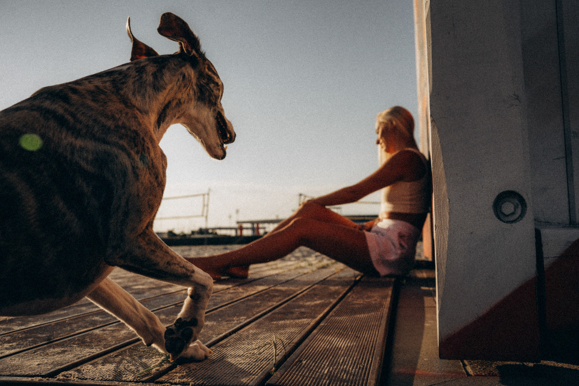 Аня и Джованни. Фотограф анималист в Москве и Санкт-Петербурге Свиридова Анна