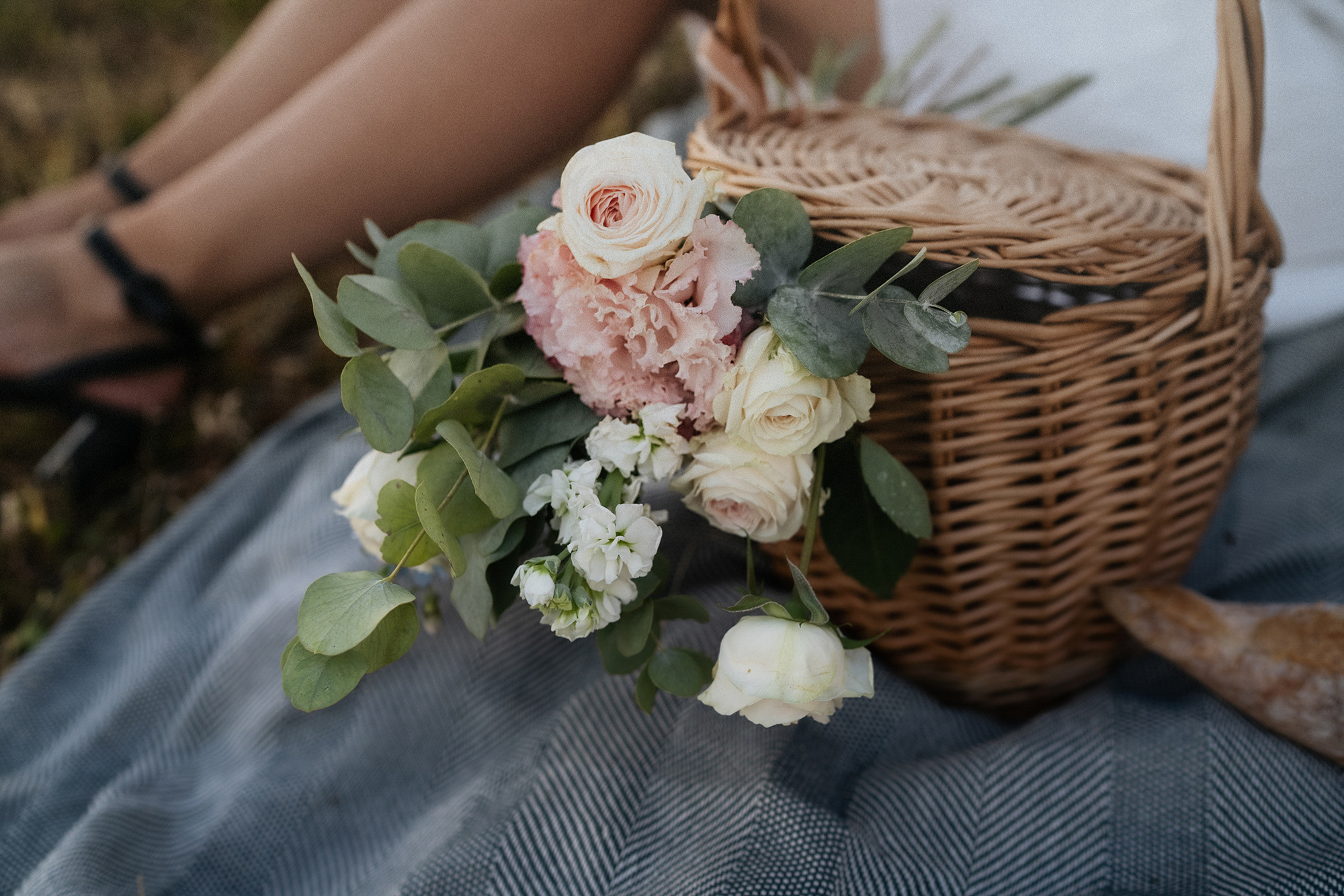 Катя, Вася, Роки и Бэлла. Фотограф анималист в Москве и Санкт-Петербурге Свиридова Анна