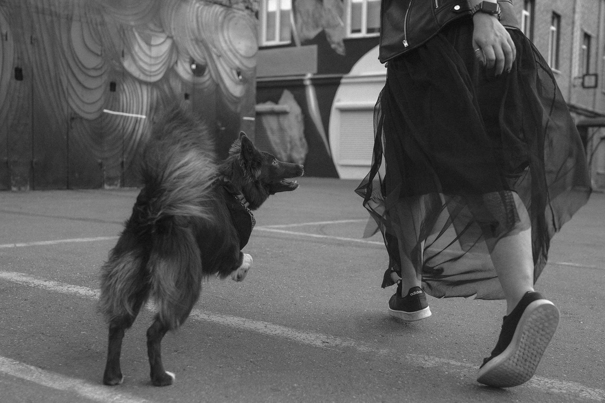 Аня и Брук. Фотограф анималист в Москве и Санкт-Петербурге Свиридова Анна