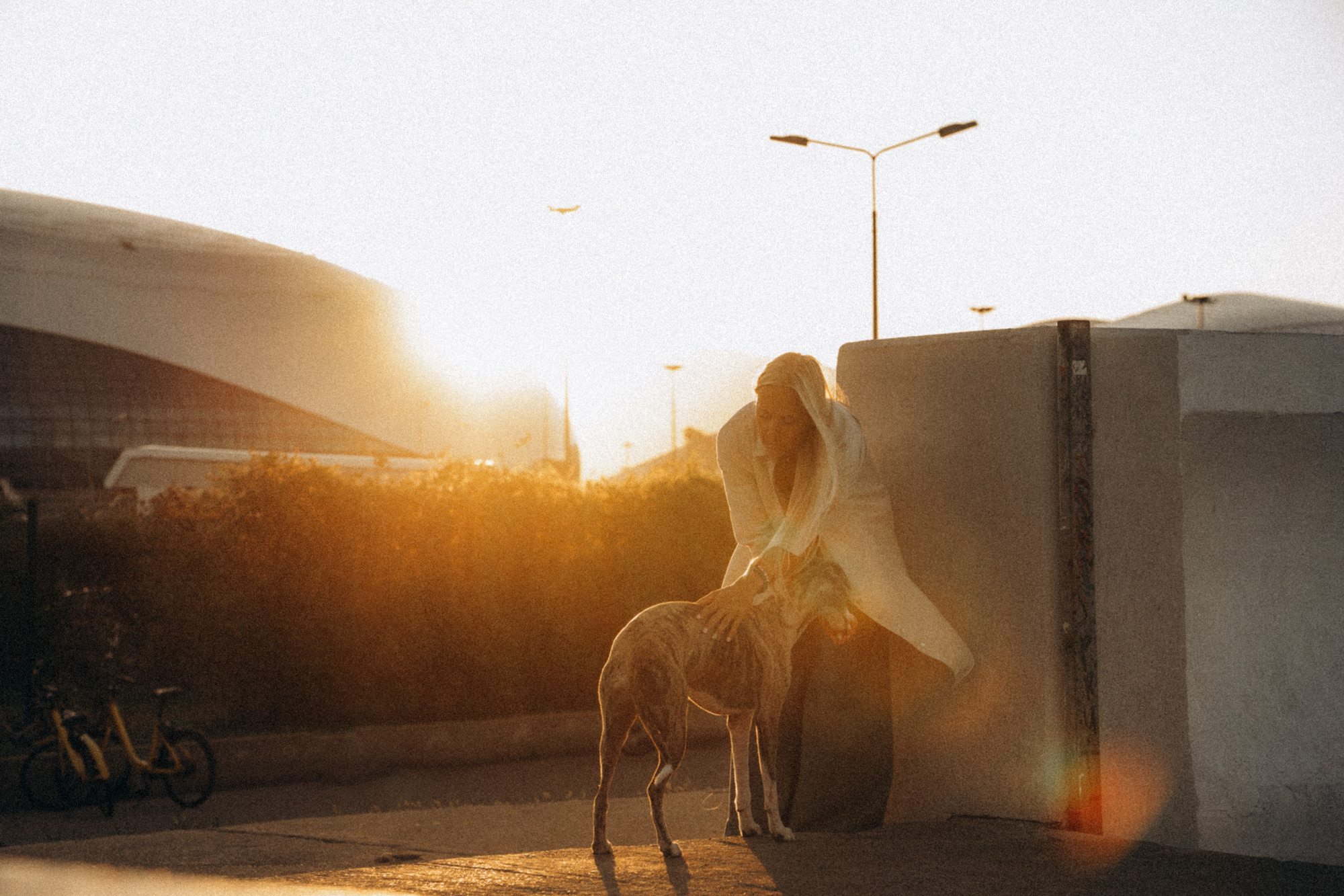 Аня и Джованни. Фотограф анималист в Москве и Санкт-Петербурге Свиридова Анна