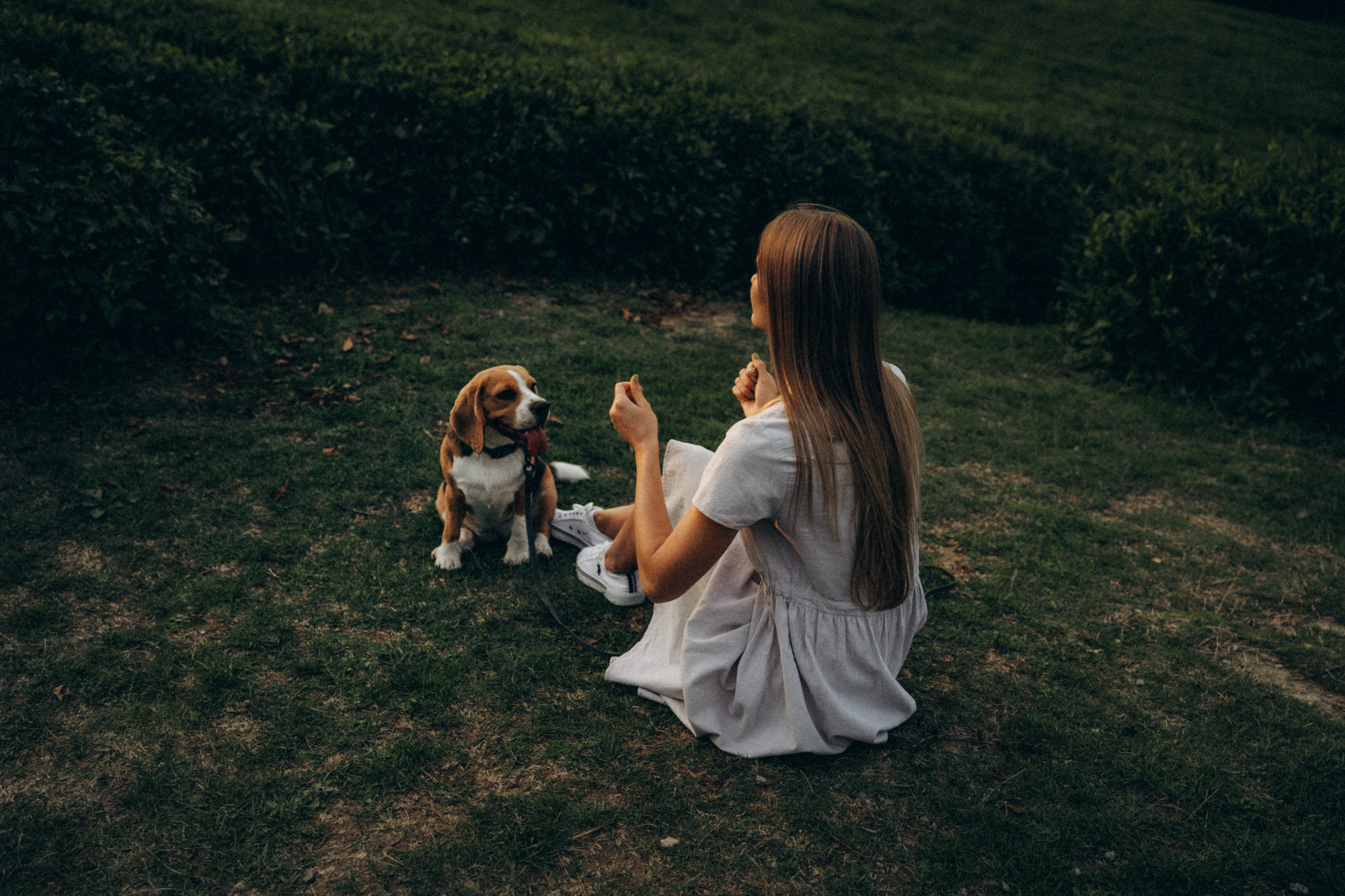 Женя и Мира. Фотограф анималист в Москве и Санкт-Петербурге Свиридова Анна