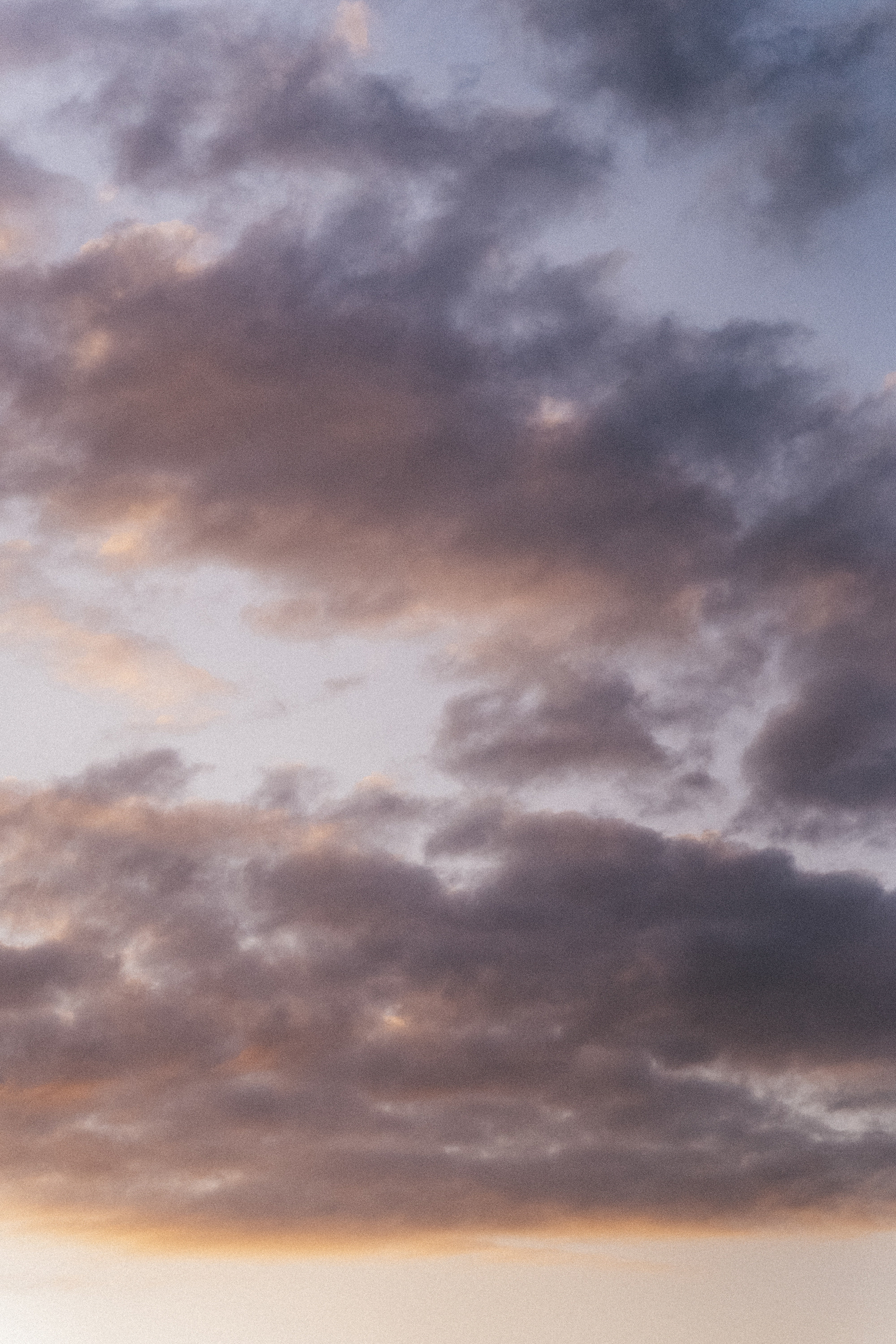 Амина, Андрей и Умка. Фотограф анималист в Москве и Санкт-Петербурге Свиридова Анна