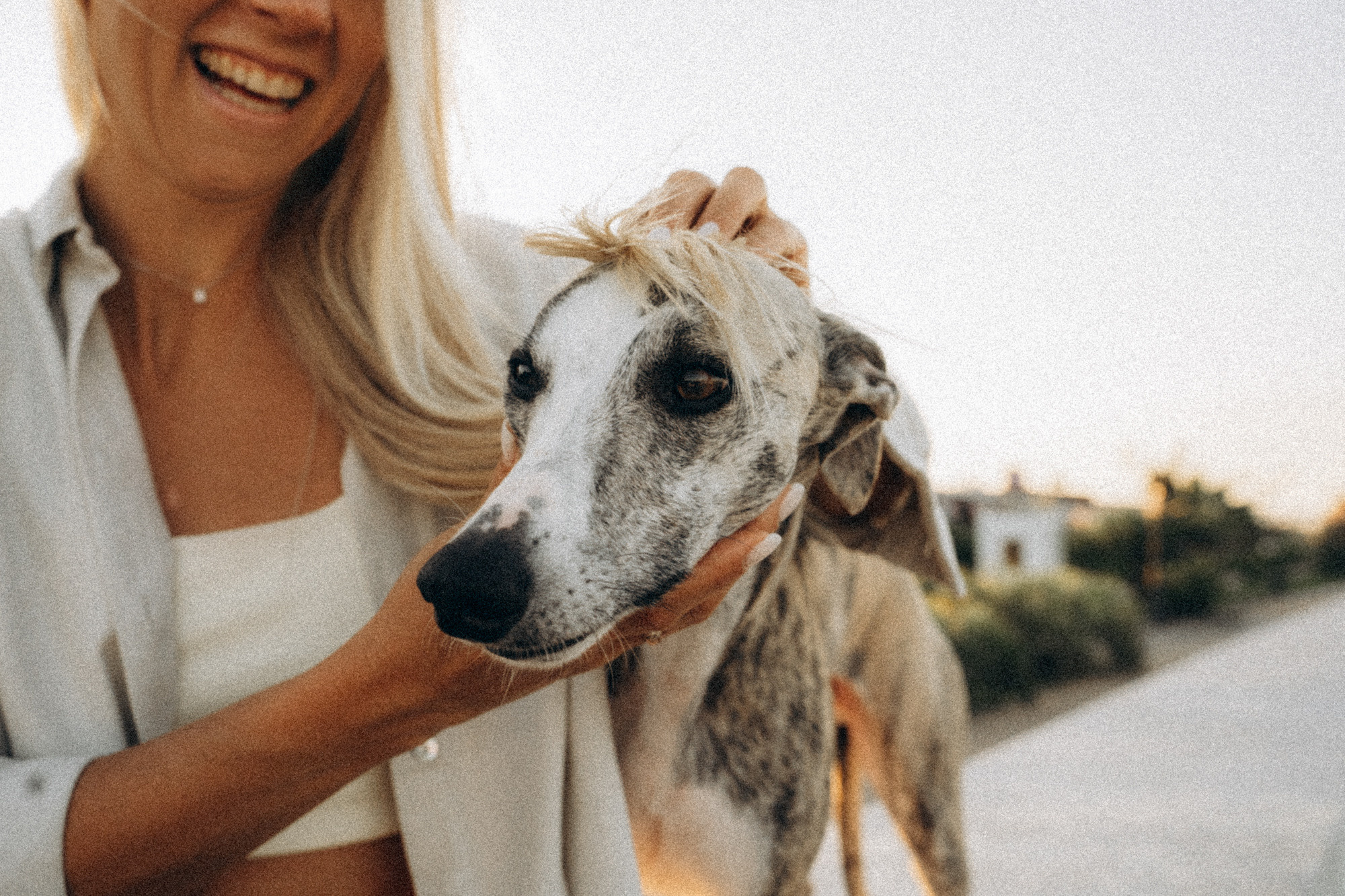 Аня и Джованни. Фотограф анималист в Москве и Санкт-Петербурге Свиридова Анна