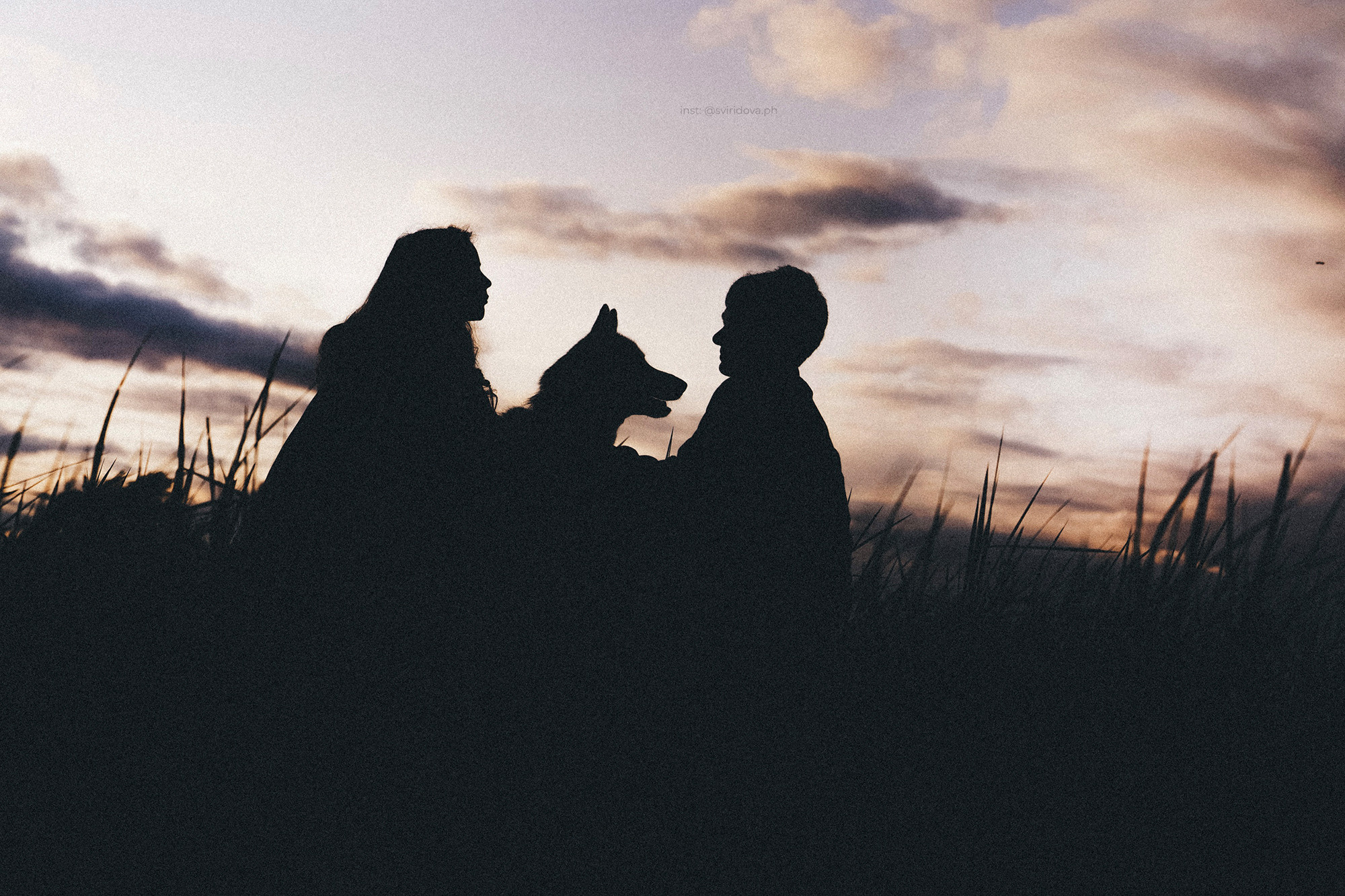 Катя, Илья, Лагерта. Фотограф анималист в Москве и Санкт-Петербурге Свиридова Анна