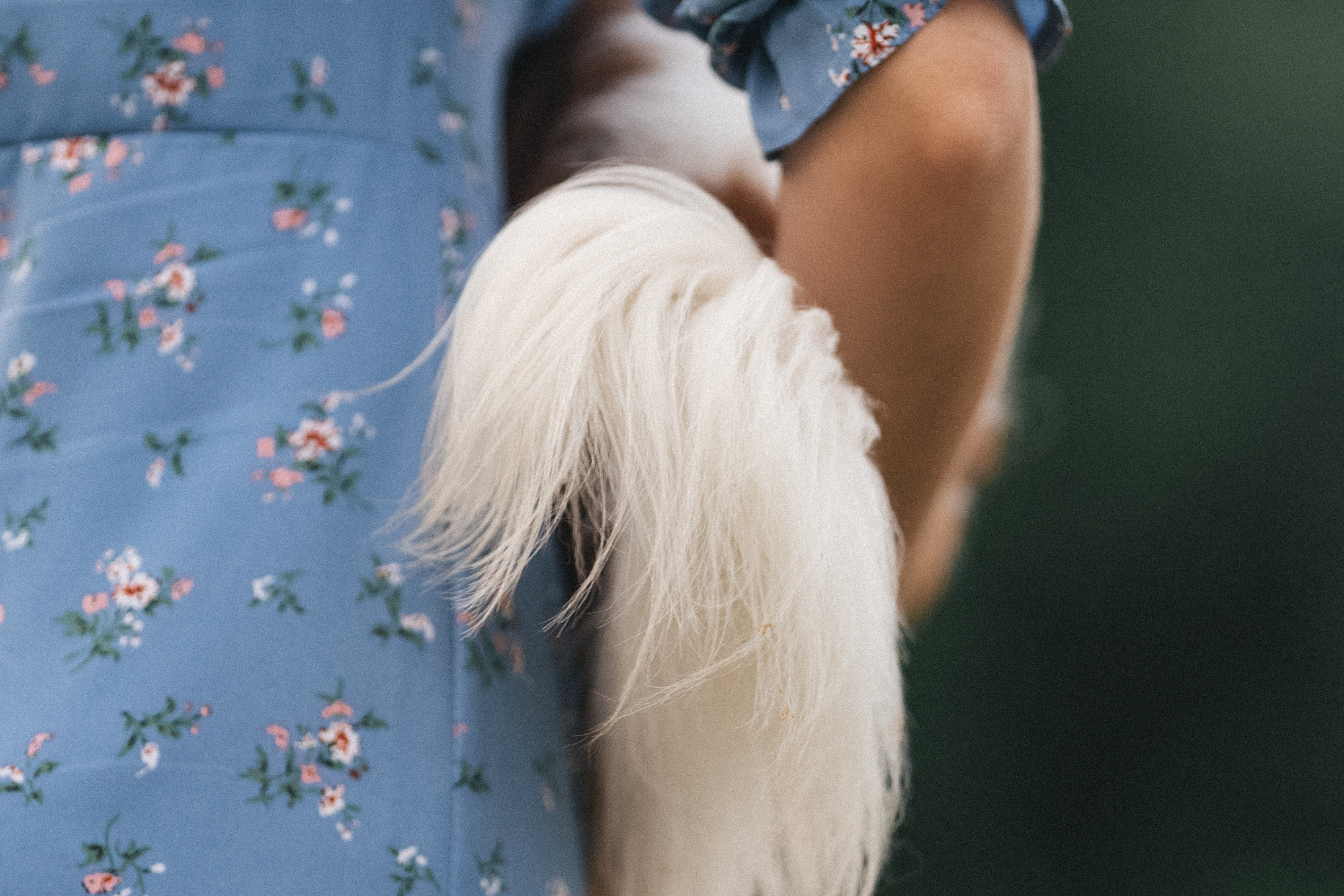 Таня и Лео. Фотограф анималист в Москве и Санкт-Петербурге Свиридова Анна