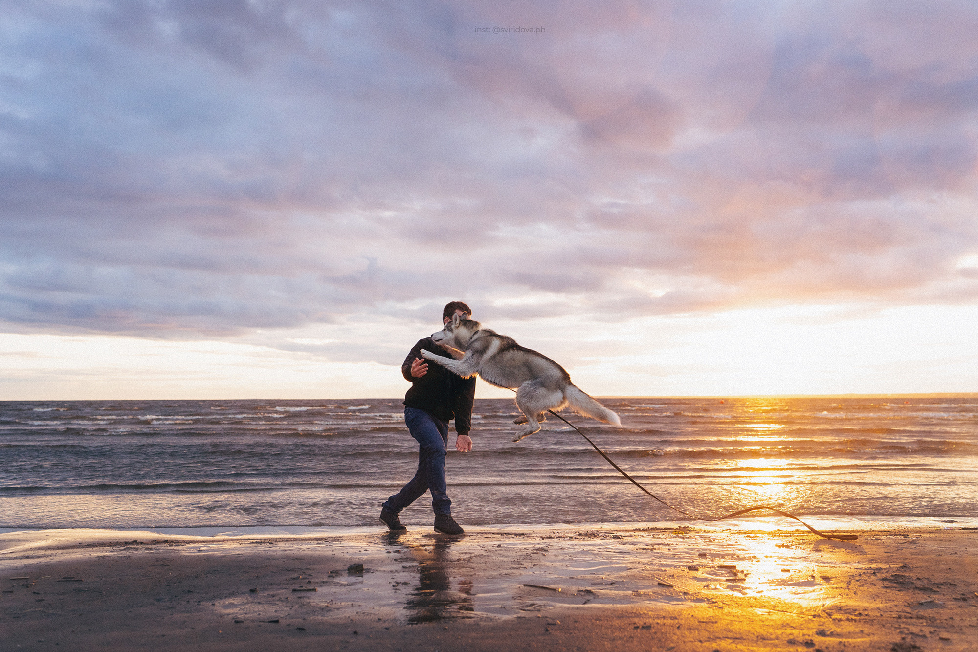 Катя, Илья, Лагерта. Фотограф анималист в Москве и Санкт-Петербурге Свиридова Анна