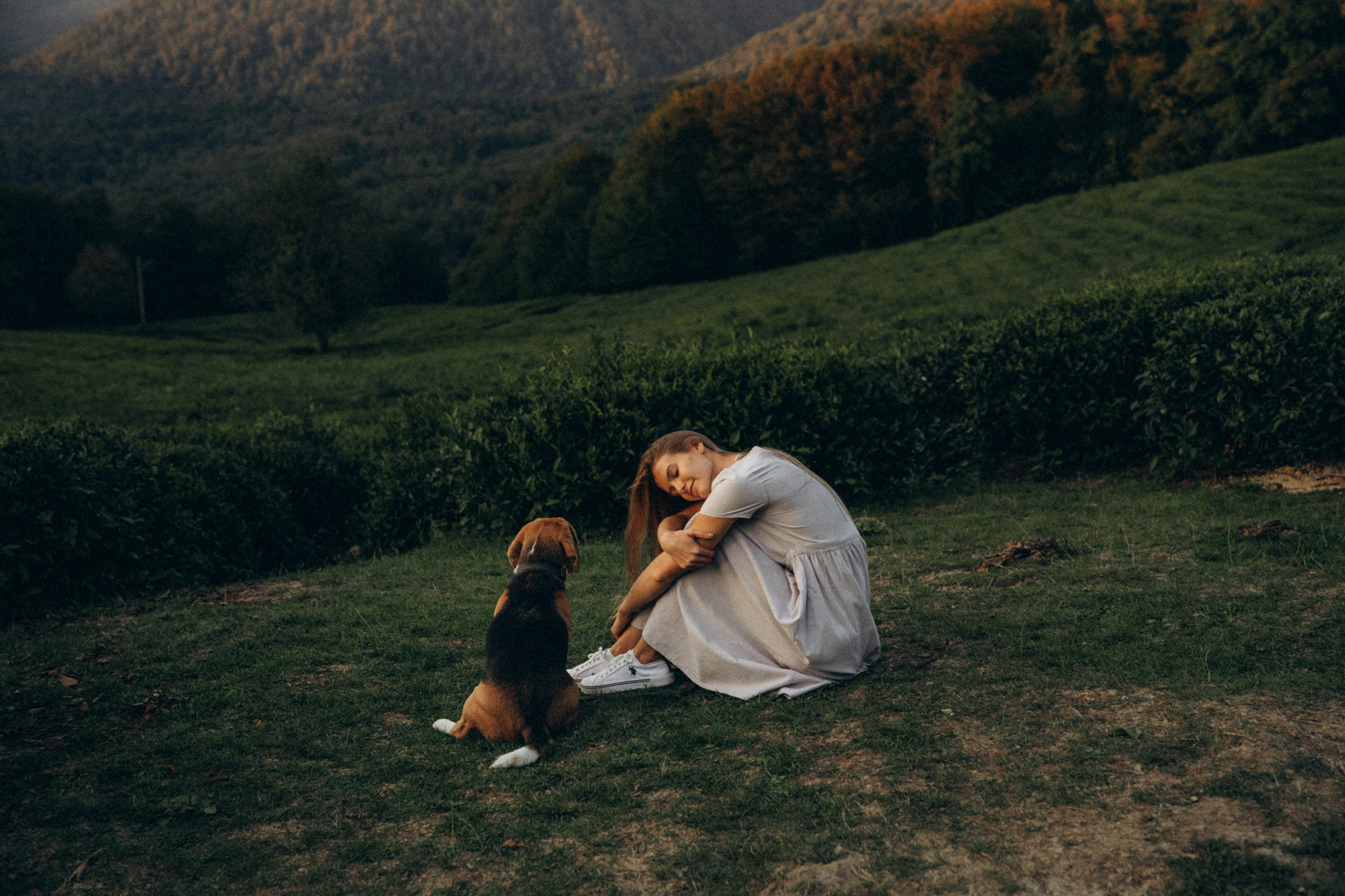 Женя и Мира. Фотограф анималист в Москве и Санкт-Петербурге Свиридова Анна